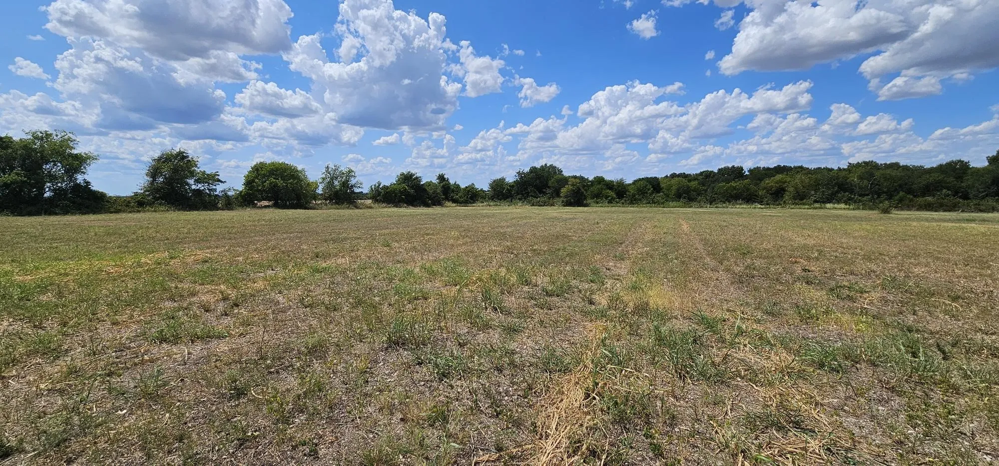 Unimproved Land For Sale in Hill County , 553 Hcr 3110 N, Abbott, Texas 76621, 0, 0, Garage spaces, 0 Sqft, built in 0, Price $350,000, mls#21354996, Real Estate Agent in Abbott, Homes For Sale in Hill county, Homes For Sale in Abbott, Realtor in Abbott Texas, Real Estate Brokerage Independent Realty Texas, Luminita Cordes Realtor