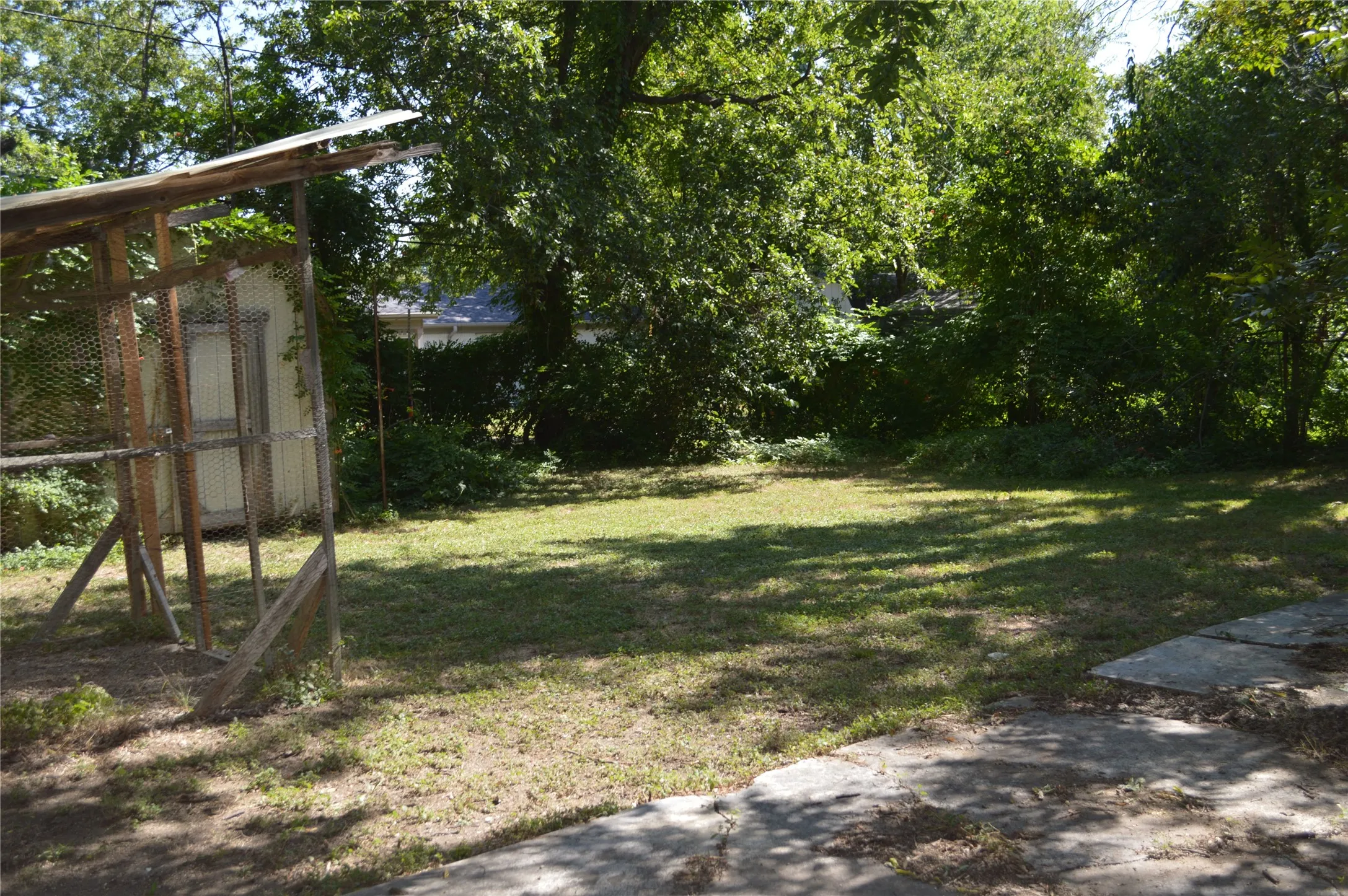 Large Backyard