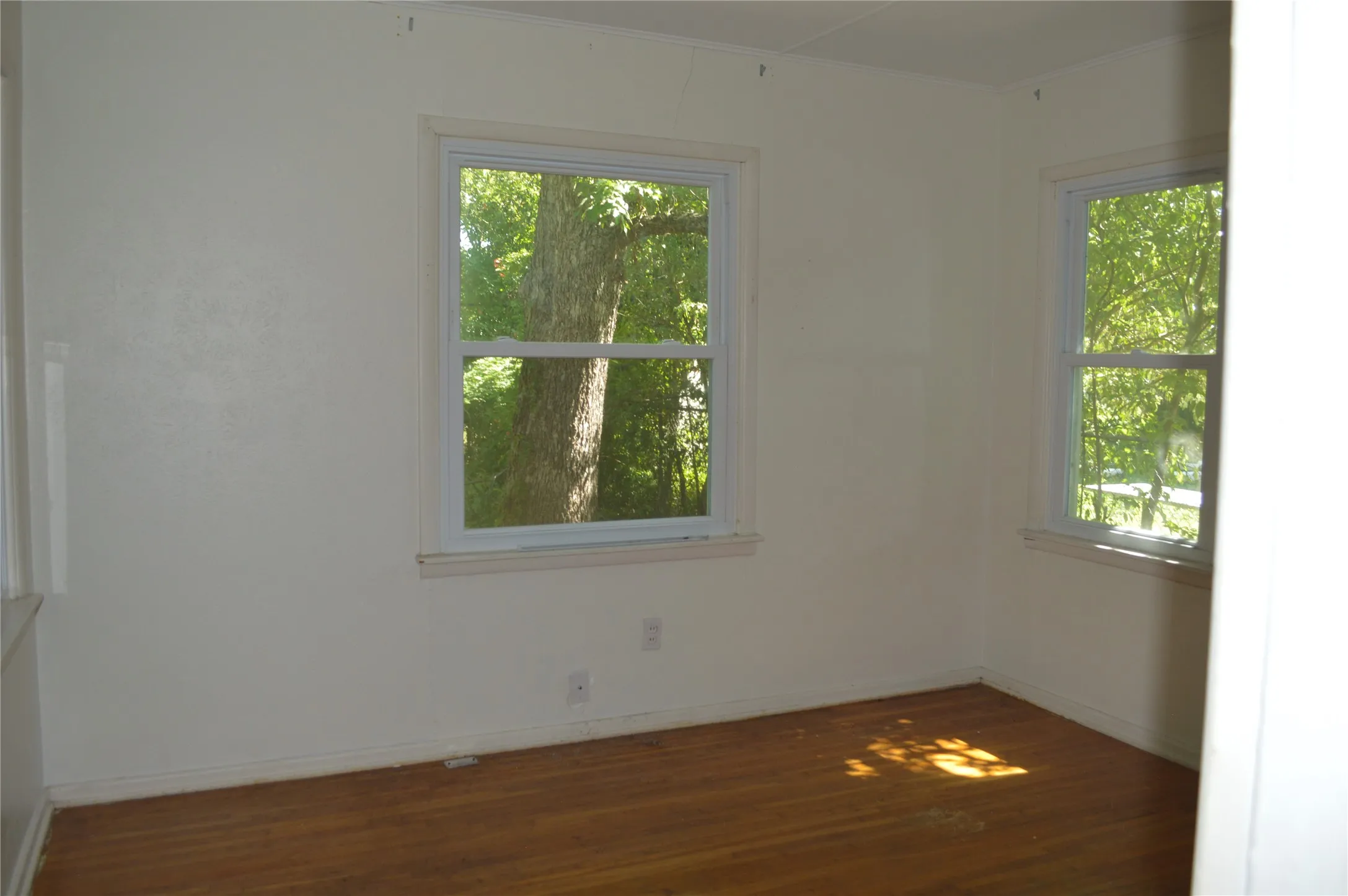 Back Bedroom