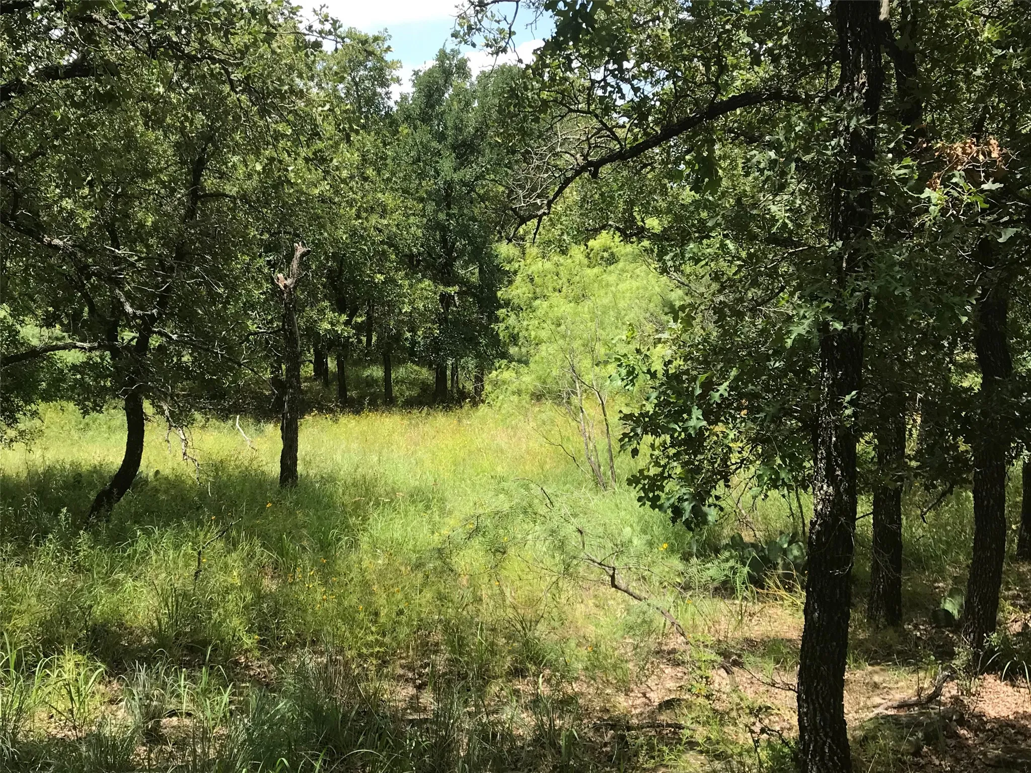 Unimproved Land For Sale in Wise County , Lot 253 Cote D Azur Drive, Chico, Texas 76431, 0, 0, Garage spaces, 0 Sqft, built in 0, mls#21354175, Real Estate Agent in Chico, Homes For Sale in Wise county, Homes For Sale in Chico, Realtor in Chico Texas, Real Estate Brokerage Independent Realty Texas, Luminita Cordes Realtor