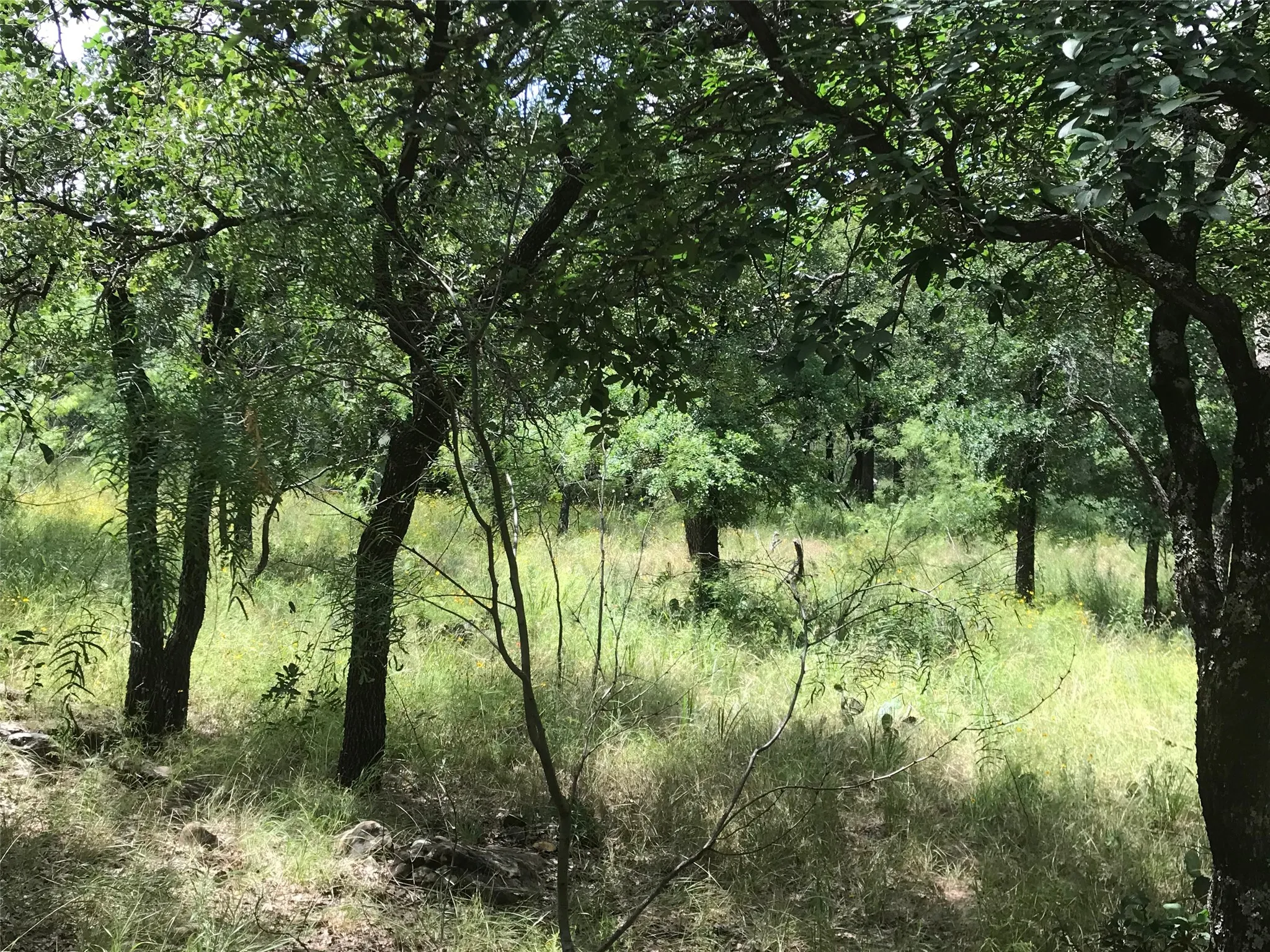 Unimproved Land For Sale in Wise County , Lot 253 Cote D Azur Drive, Chico, Texas 76431, 0, 0, Garage spaces, 0 Sqft, built in 0, mls#21354175, Real Estate Agent in Chico, Homes For Sale in Wise county, Homes For Sale in Chico, Realtor in Chico Texas, Real Estate Brokerage Independent Realty Texas, Luminita Cordes Realtor