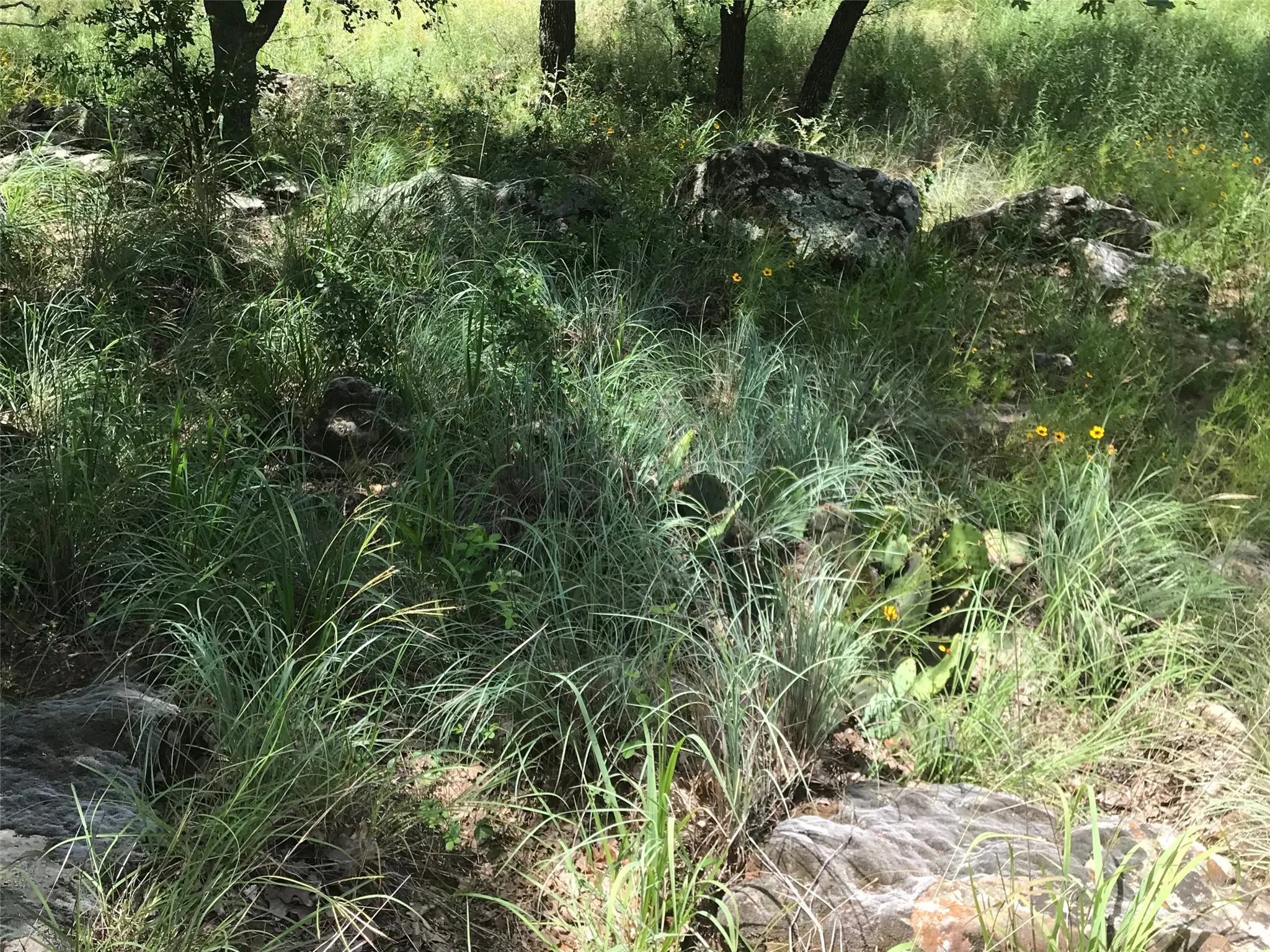 Unimproved Land For Sale in Wise County , Lot 253 Cote D Azur Drive, Chico, Texas 76431, 0, 0, Garage spaces, 0 Sqft, built in 0, mls#21354175, Real Estate Agent in Chico, Homes For Sale in Wise county, Homes For Sale in Chico, Realtor in Chico Texas, Real Estate Brokerage Independent Realty Texas, Luminita Cordes Realtor