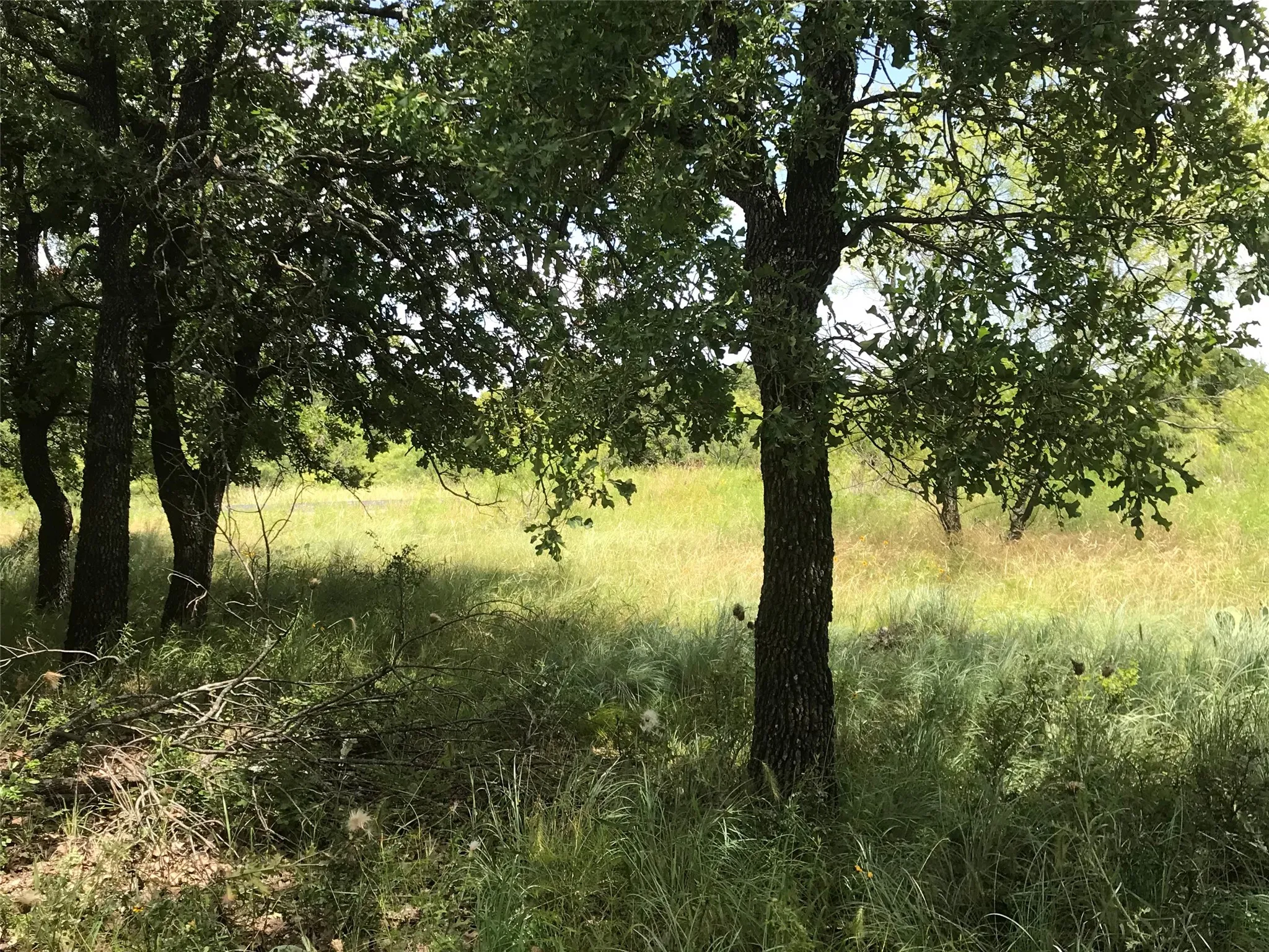 Unimproved Land For Sale in Wise County , Lot 253 Cote D Azur Drive, Chico, Texas 76431, 0, 0, Garage spaces, 0 Sqft, built in 0, mls#21354175, Real Estate Agent in Chico, Homes For Sale in Wise county, Homes For Sale in Chico, Realtor in Chico Texas, Real Estate Brokerage Independent Realty Texas, Luminita Cordes Realtor