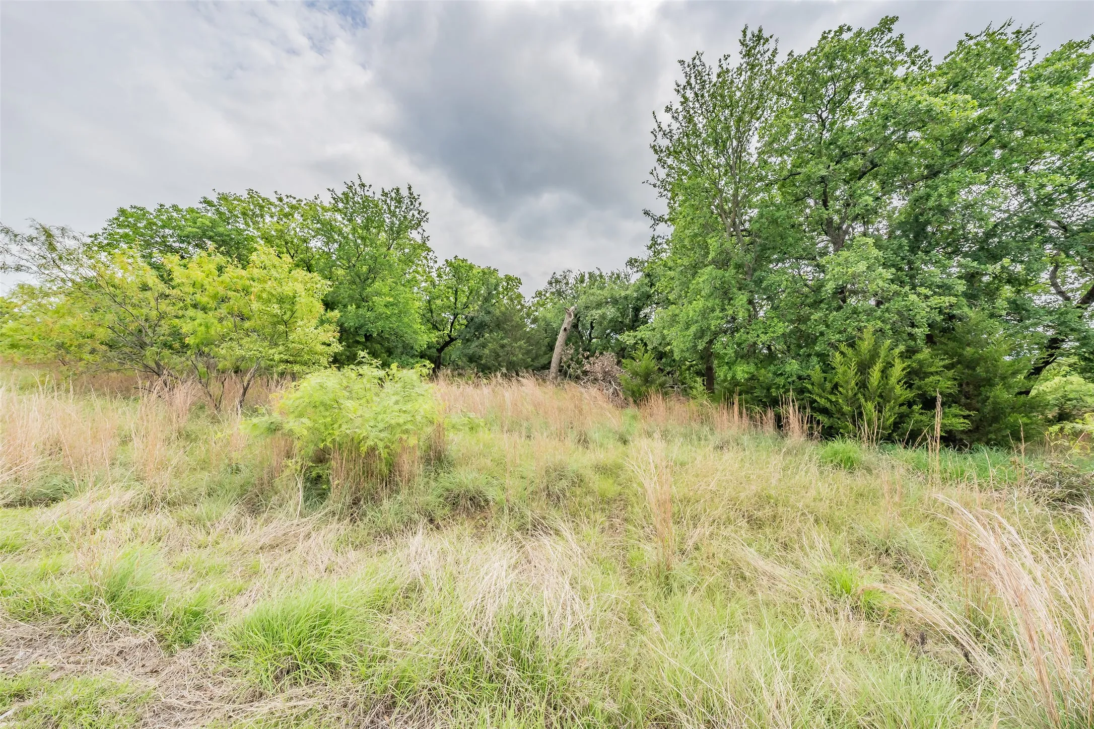 Unimproved Land For Sale in Wise County , Lot 253 Cote D Azur Drive, Chico, Texas 76431, 0, 0, Garage spaces, 0 Sqft, built in 0, mls#21354175, Real Estate Agent in Chico, Homes For Sale in Wise county, Homes For Sale in Chico, Realtor in Chico Texas, Real Estate Brokerage Independent Realty Texas, Luminita Cordes Realtor