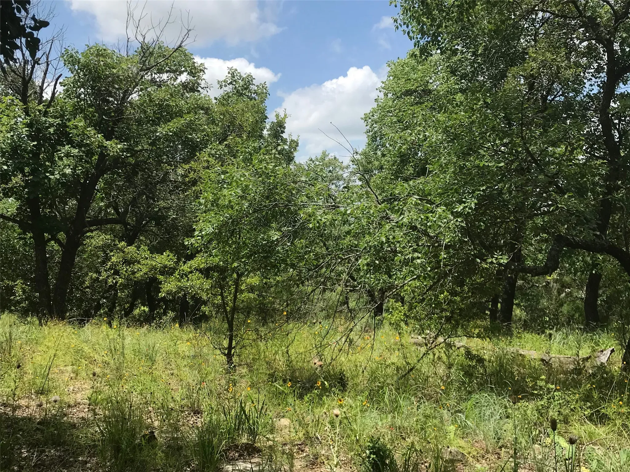 Unimproved Land For Sale in Wise County , Lot 253 Cote D Azur Drive, Chico, Texas 76431, 0, 0, Garage spaces, 0 Sqft, built in 0, mls#21354175, Real Estate Agent in Chico, Homes For Sale in Wise county, Homes For Sale in Chico, Realtor in Chico Texas, Real Estate Brokerage Independent Realty Texas, Luminita Cordes Realtor
