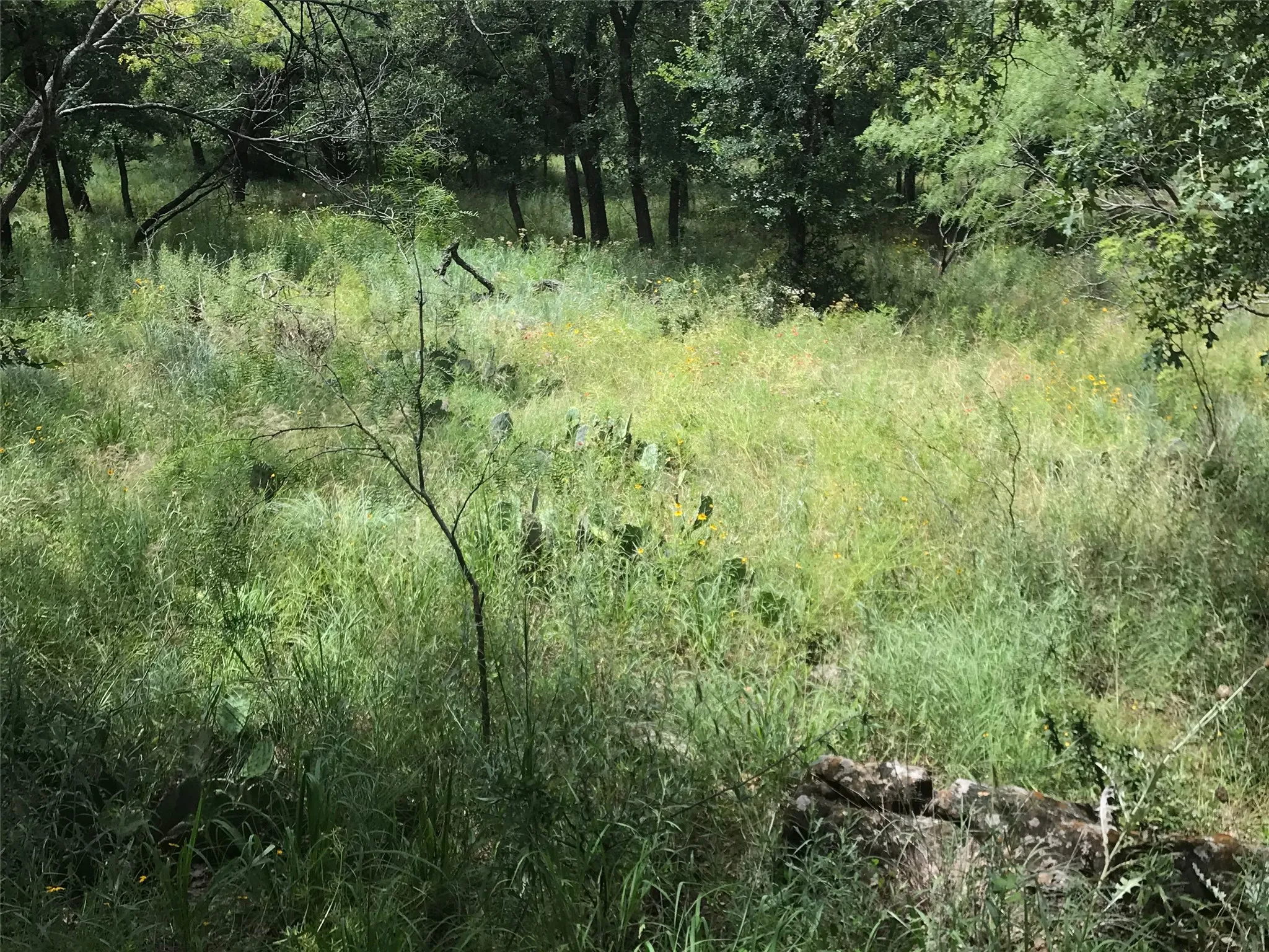 Unimproved Land For Sale in Wise County , Lot 253 Cote D Azur Drive, Chico, Texas 76431, 0, 0, Garage spaces, 0 Sqft, built in 0, mls#21354175, Real Estate Agent in Chico, Homes For Sale in Wise county, Homes For Sale in Chico, Realtor in Chico Texas, Real Estate Brokerage Independent Realty Texas, Luminita Cordes Realtor