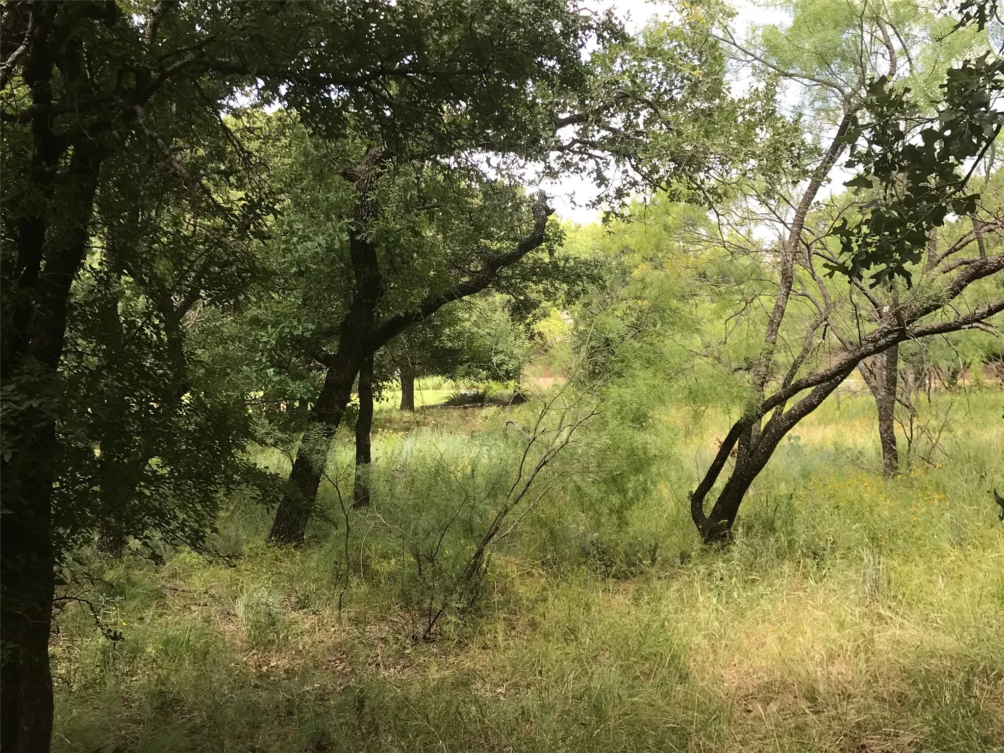 Unimproved Land For Sale in Wise County , Lot 253 Cote D Azur Drive, Chico, Texas 76431, 0, 0, Garage spaces, 0 Sqft, built in 0, mls#21354175, Real Estate Agent in Chico, Homes For Sale in Wise county, Homes For Sale in Chico, Realtor in Chico Texas, Real Estate Brokerage Independent Realty Texas, Luminita Cordes Realtor