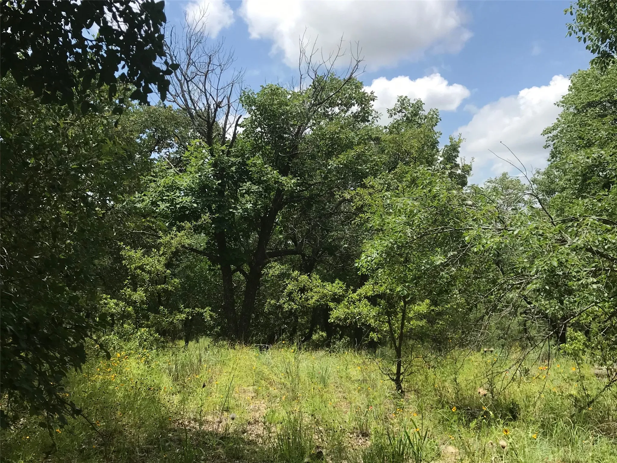 Unimproved Land For Sale in Wise County , Lot 253 Cote D Azur Drive, Chico, Texas 76431, 0, 0, Garage spaces, 0 Sqft, built in 0, mls#21354175, Real Estate Agent in Chico, Homes For Sale in Wise county, Homes For Sale in Chico, Realtor in Chico Texas, Real Estate Brokerage Independent Realty Texas, Luminita Cordes Realtor