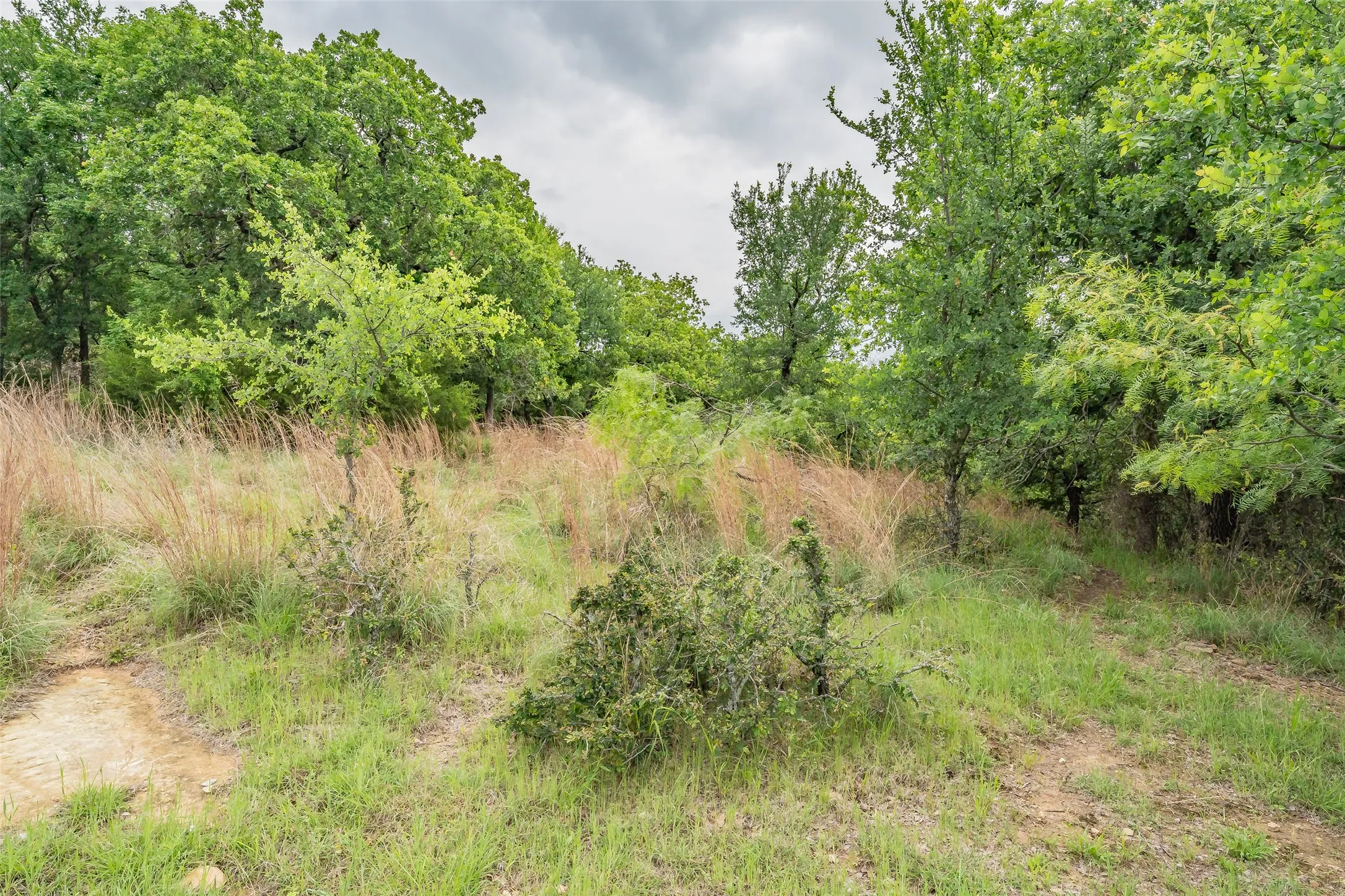 Unimproved Land For Sale in Wise County , Lot 253 Cote D Azur Drive, Chico, Texas 76431, 0, 0, Garage spaces, 0 Sqft, built in 0, mls#21354175, Real Estate Agent in Chico, Homes For Sale in Wise county, Homes For Sale in Chico, Realtor in Chico Texas, Real Estate Brokerage Independent Realty Texas, Luminita Cordes Realtor