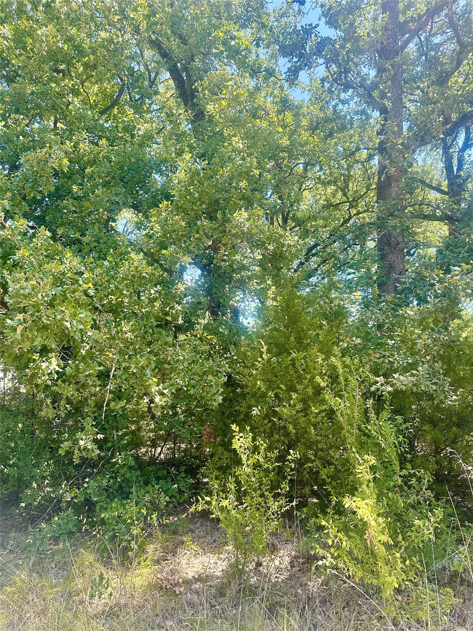 Unimproved Land For Sale in Henderson County , 0 Longhorn Road, Mabank, Texas 75156, 0, 0, Garage spaces, 0 Sqft, built in 0, Price $8,000, mls#21352686, Real Estate Agent in Mabank, Homes For Sale in Henderson county, Homes For Sale in Mabank, Realtor in Mabank Texas, Real Estate Brokerage Independent Realty Texas, Luminita Cordes Realtor