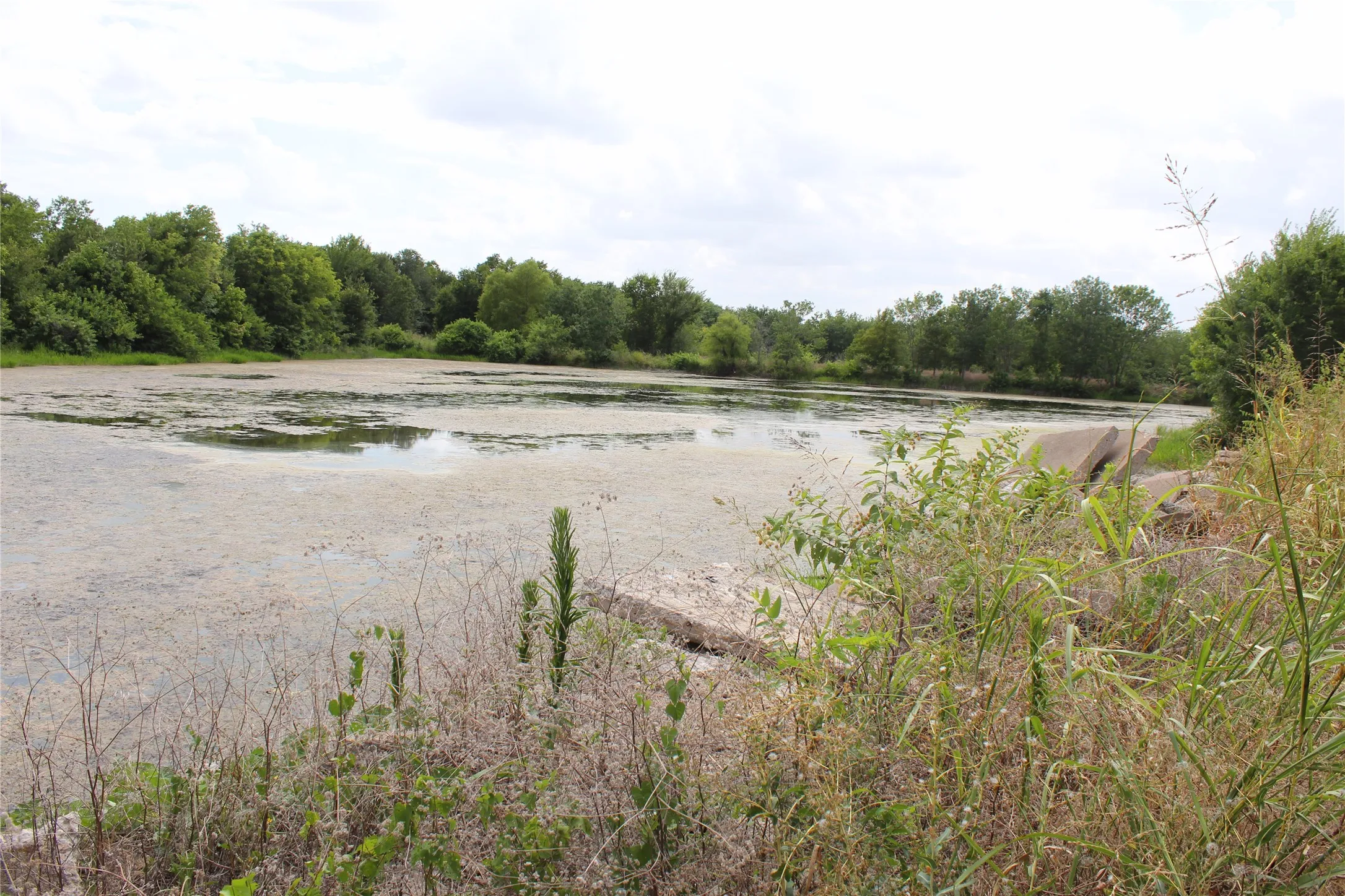 Large Pond