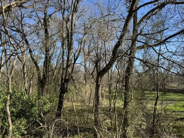 Improved Land For Sale in Henderson County , 0 Maple, Gun Barrel City, Texas 75156, 0, 0, Garage spaces, 0 Sqft, built in 0, Price $21,000, mls#21345014, Real Estate Agent in Gun Barrel City, Homes For Sale in Henderson county, Homes For Sale in Gun Barrel City, Realtor in Gun Barrel City Texas, Real Estate Brokerage Independent Realty Texas, Luminita Cordes Realtor