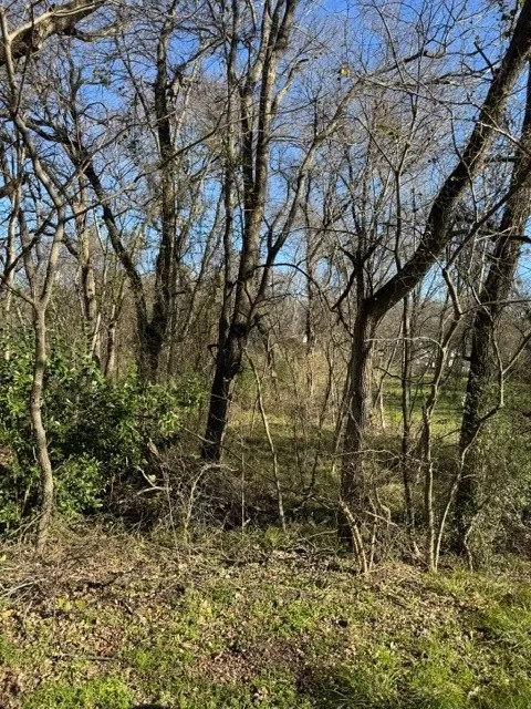 Improved Land For Sale in Henderson County , 0 Maple, Gun Barrel City, Texas 75156, 0, 0, Garage spaces, 0 Sqft, built in 0, Price $21,000, mls#21345014, Real Estate Agent in Gun Barrel City, Homes For Sale in Henderson county, Homes For Sale in Gun Barrel City, Realtor in Gun Barrel City Texas, Real Estate Brokerage Independent Realty Texas, Luminita Cordes Realtor