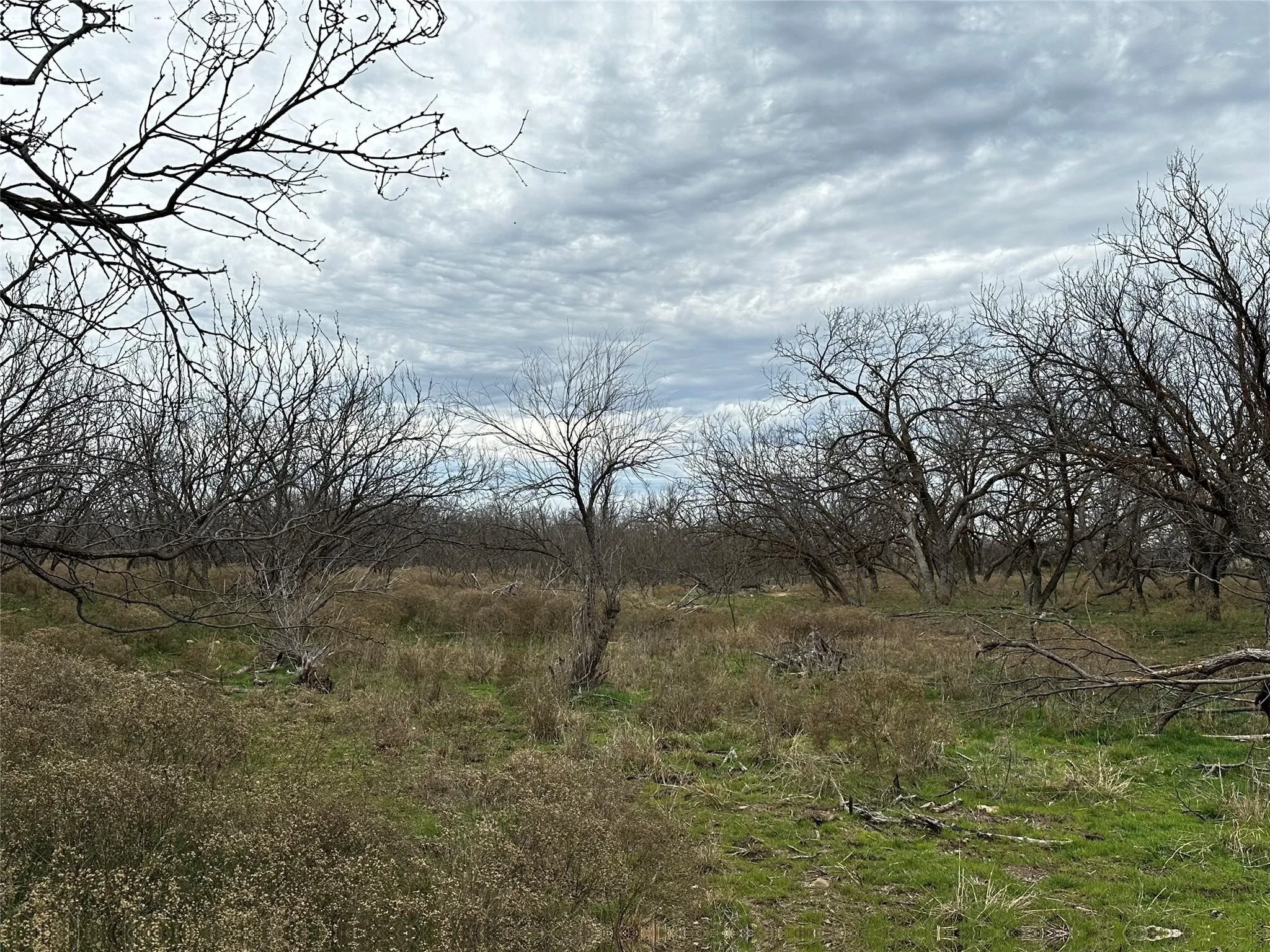 Ranch For Sale in Callahan County , Tract 13 AC CR 105, Abilene, Texas 79601, 0, 0, Garage spaces, 0 Sqft, built in 0, Price $107,835, mls#21355142, Real Estate Agent in Abilene, Homes For Sale in Callahan county, Homes For Sale in Abilene, Realtor in Abilene Texas, Real Estate Brokerage Independent Realty Texas, Luminita Cordes Realtor