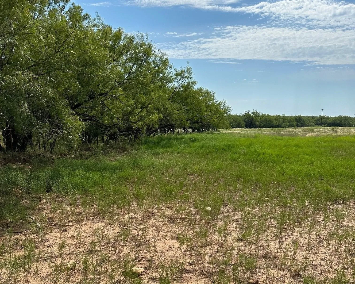 Ranch For Sale in Callahan County , Tract 13 AC CR 105, Abilene, Texas 79601, 0, 0, Garage spaces, 0 Sqft, built in 0, Price $107,835, mls#21355142, Real Estate Agent in Abilene, Homes For Sale in Callahan county, Homes For Sale in Abilene, Realtor in Abilene Texas, Real Estate Brokerage Independent Realty Texas, Luminita Cordes Realtor