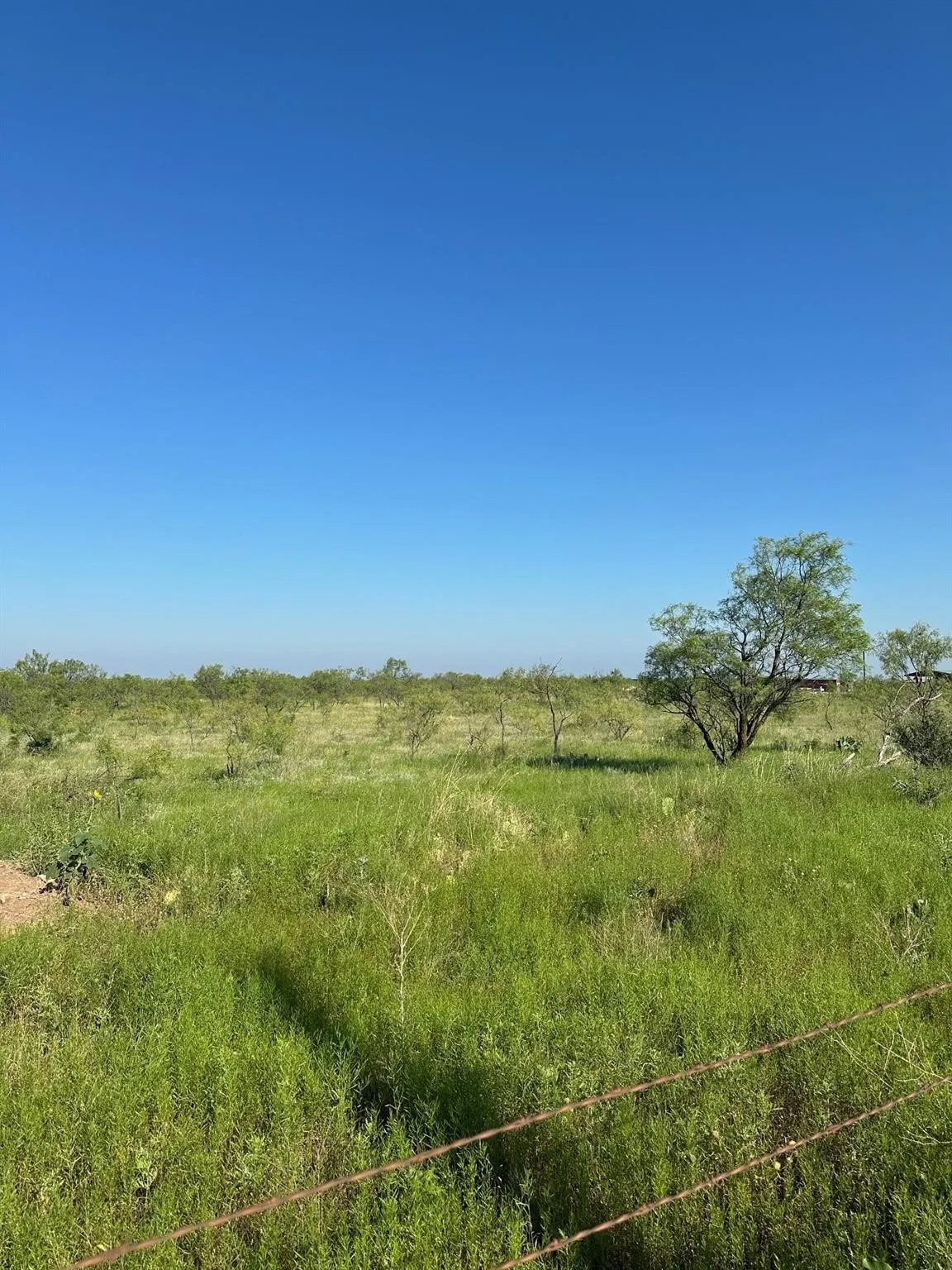 Ranch For Sale in Callahan County , Tract 13 AC CR 105, Abilene, Texas 79601, 0, 0, Garage spaces, 0 Sqft, built in 0, Price $107,835, mls#21355142, Real Estate Agent in Abilene, Homes For Sale in Callahan county, Homes For Sale in Abilene, Realtor in Abilene Texas, Real Estate Brokerage Independent Realty Texas, Luminita Cordes Realtor