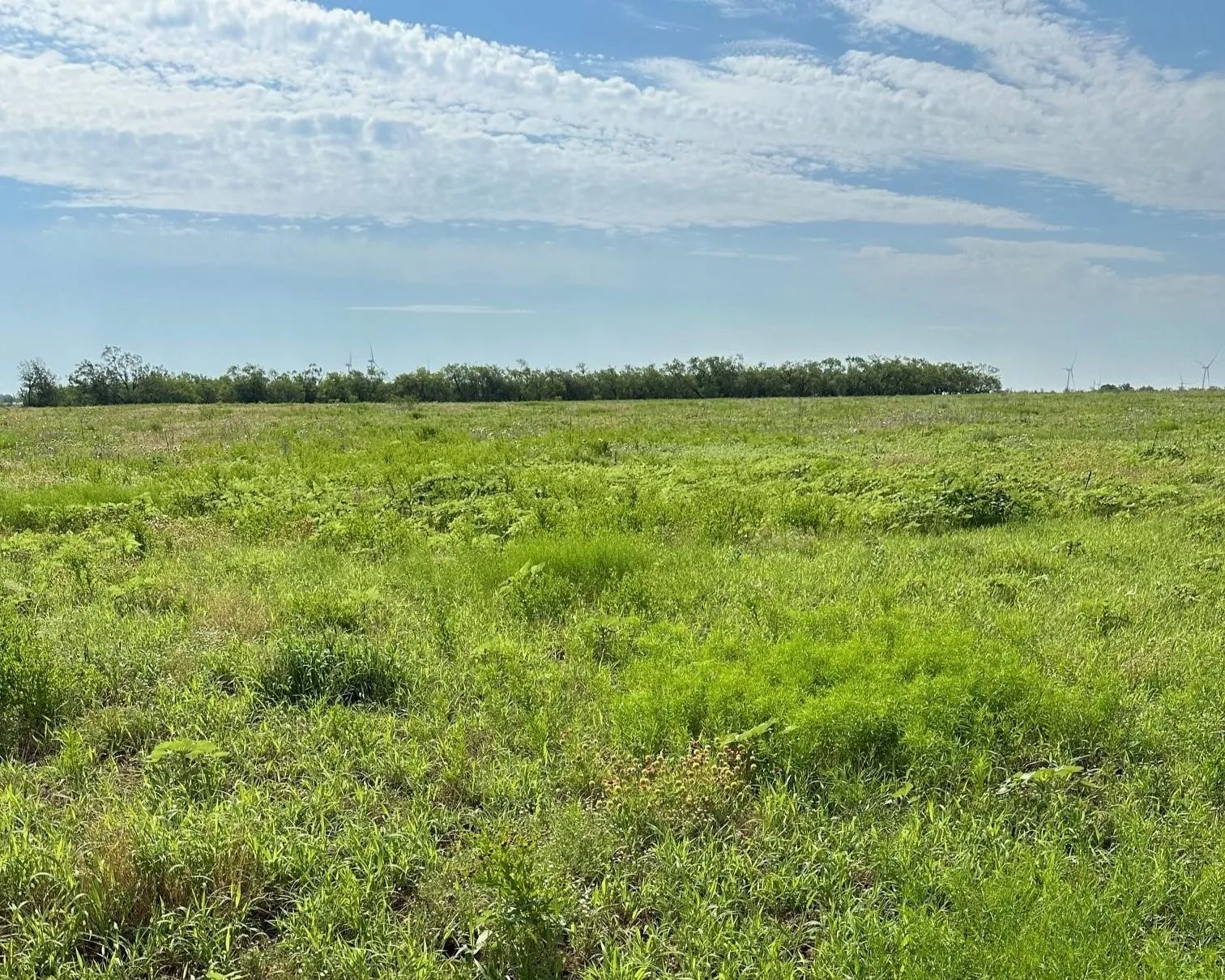 Ranch For Sale in Callahan County , Tract 13 AC CR 105, Abilene, Texas 79601, 0, 0, Garage spaces, 0 Sqft, built in 0, Price $107,835, mls#21355142, Real Estate Agent in Abilene, Homes For Sale in Callahan county, Homes For Sale in Abilene, Realtor in Abilene Texas, Real Estate Brokerage Independent Realty Texas, Luminita Cordes Realtor