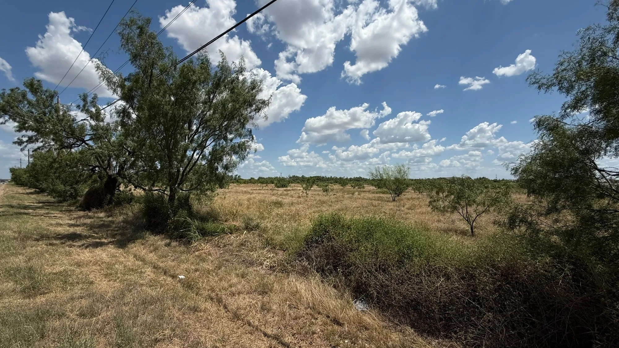 Expansive open land featuring natural vegetation and a clear sky with scattered clouds