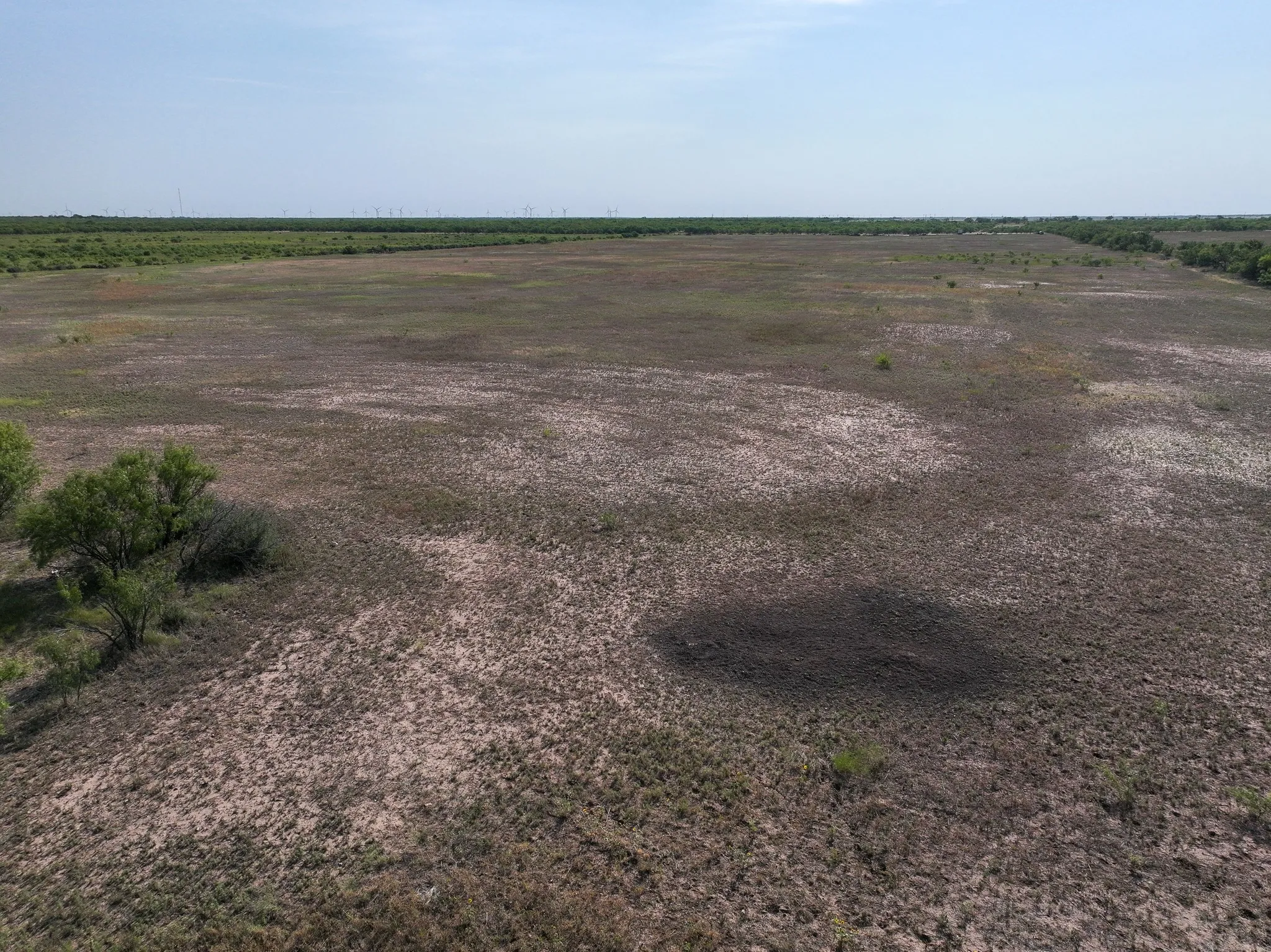 Unimproved Land For Sale in Taylor County , TBD 88.75 Ac Potosi Rd, Abilene, Texas 79602, 0, 0, Garage spaces, 0 Sqft, built in 0, Price $1,065,000, mls#21355160, Real Estate Agent in Abilene, Homes For Sale in Taylor county, Homes For Sale in Abilene, Realtor in Abilene Texas, Real Estate Brokerage Independent Realty Texas, Luminita Cordes Realtor