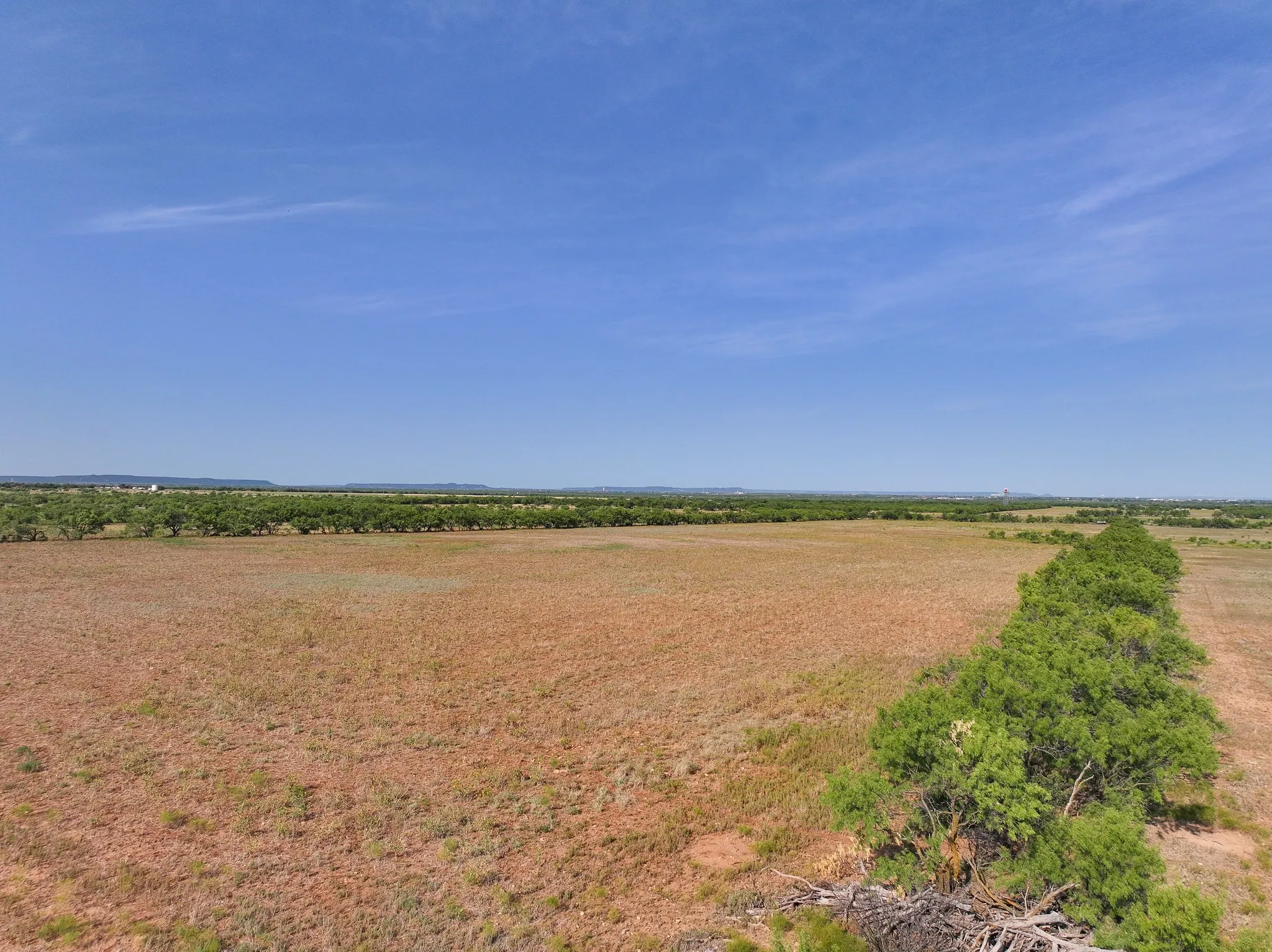 Unimproved Land For Sale in Taylor County , TBD 88.75 Ac Potosi Rd, Abilene, Texas 79602, 0, 0, Garage spaces, 0 Sqft, built in 0, Price $1,065,000, mls#21355160, Real Estate Agent in Abilene, Homes For Sale in Taylor county, Homes For Sale in Abilene, Realtor in Abilene Texas, Real Estate Brokerage Independent Realty Texas, Luminita Cordes Realtor