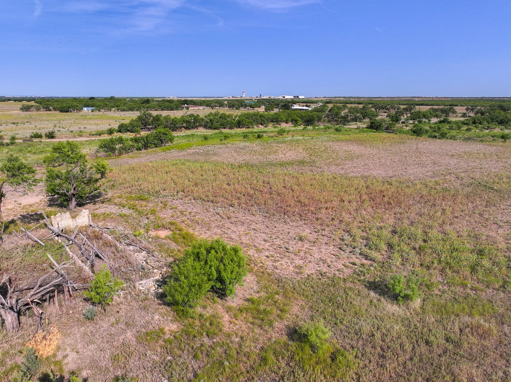 Unimproved Land For Sale in Taylor County , TBD 88.75 Ac Potosi Rd, Abilene, Texas 79602, 0, 0, Garage spaces, 0 Sqft, built in 0, Price $1,065,000, mls#21355160, Real Estate Agent in Abilene, Homes For Sale in Taylor county, Homes For Sale in Abilene, Realtor in Abilene Texas, Real Estate Brokerage Independent Realty Texas, Luminita Cordes Realtor