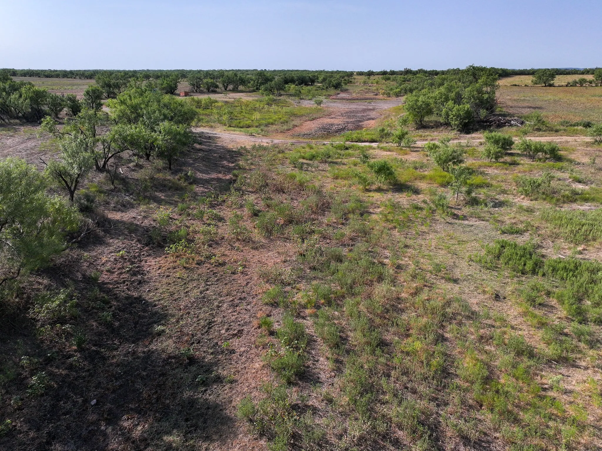 Unimproved Land For Sale in Taylor County , TBD 88.75 Ac Potosi Rd, Abilene, Texas 79602, 0, 0, Garage spaces, 0 Sqft, built in 0, Price $1,065,000, mls#21355160, Real Estate Agent in Abilene, Homes For Sale in Taylor county, Homes For Sale in Abilene, Realtor in Abilene Texas, Real Estate Brokerage Independent Realty Texas, Luminita Cordes Realtor