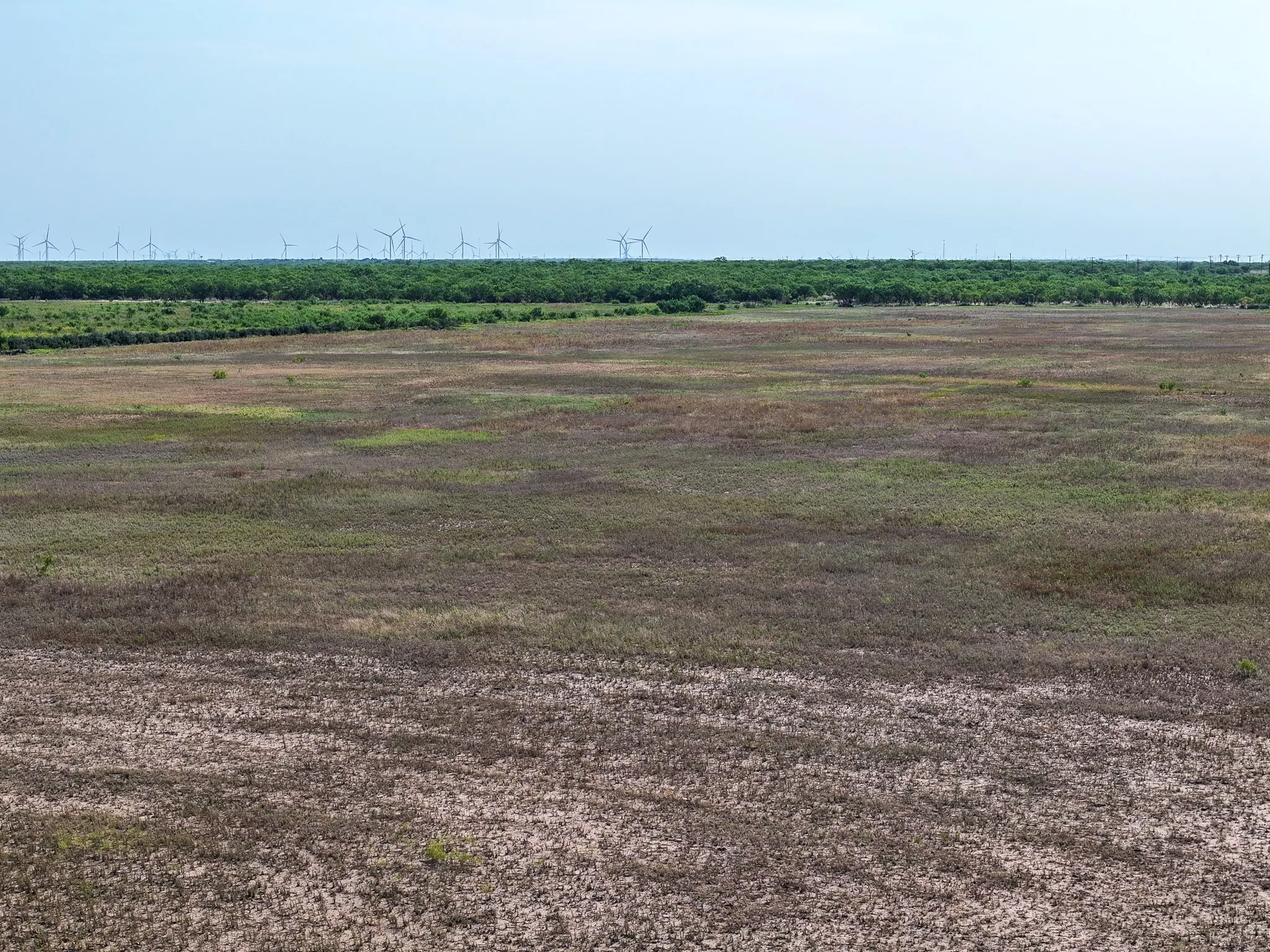 Unimproved Land For Sale in Taylor County , TBD 88.75 Ac Potosi Rd, Abilene, Texas 79602, 0, 0, Garage spaces, 0 Sqft, built in 0, Price $1,065,000, mls#21355160, Real Estate Agent in Abilene, Homes For Sale in Taylor county, Homes For Sale in Abilene, Realtor in Abilene Texas, Real Estate Brokerage Independent Realty Texas, Luminita Cordes Realtor