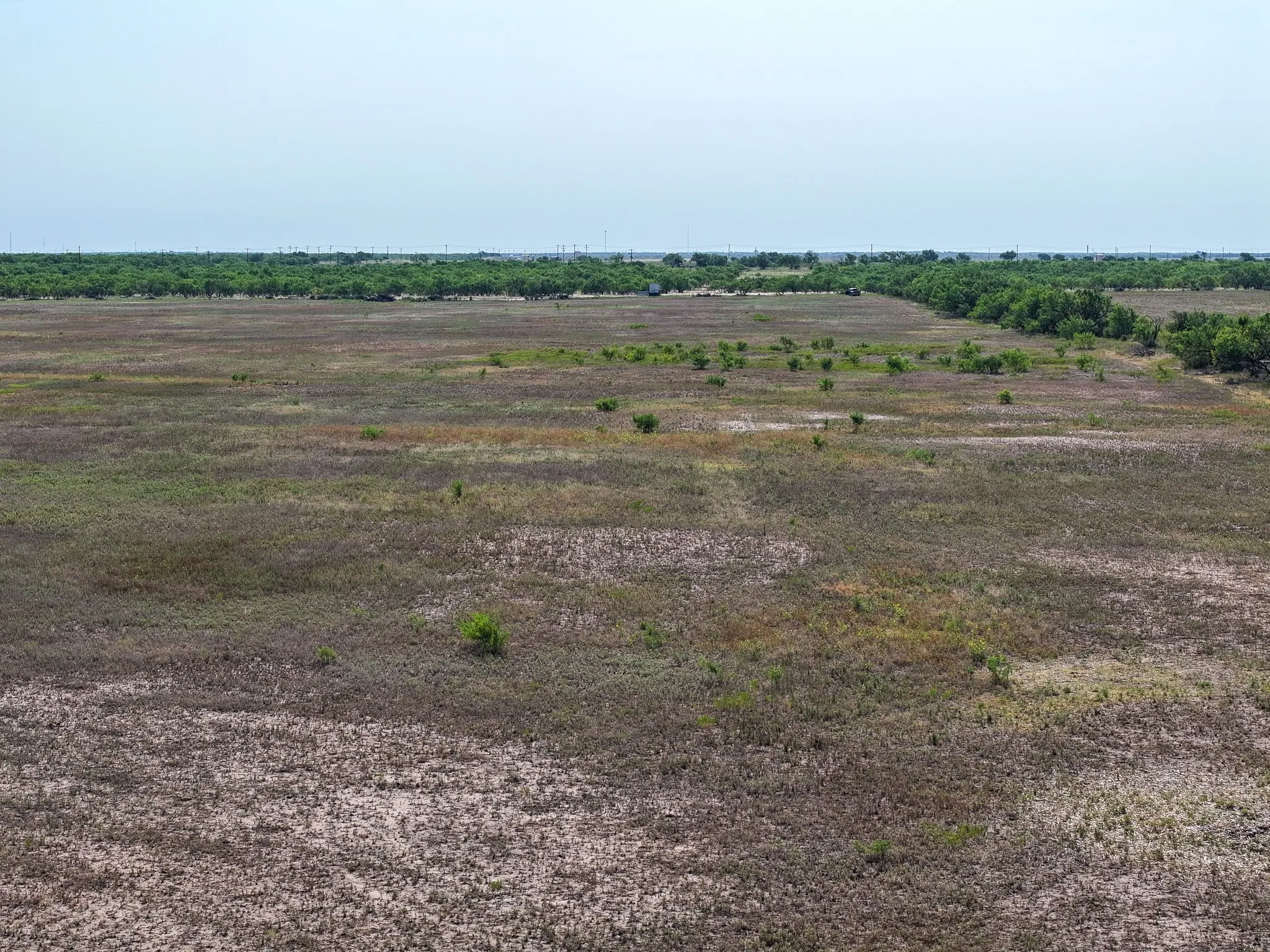 Unimproved Land For Sale in Taylor County , TBD 88.75 Ac Potosi Rd, Abilene, Texas 79602, 0, 0, Garage spaces, 0 Sqft, built in 0, Price $1,065,000, mls#21355160, Real Estate Agent in Abilene, Homes For Sale in Taylor county, Homes For Sale in Abilene, Realtor in Abilene Texas, Real Estate Brokerage Independent Realty Texas, Luminita Cordes Realtor