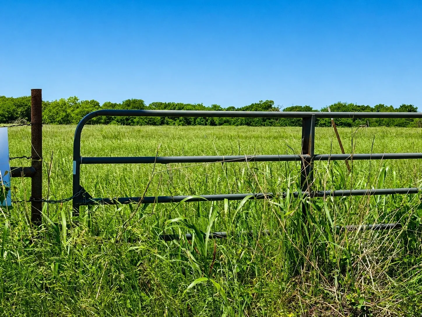 Unimproved Land For Sale in Hopkins County , TBD CR 3561, Sulphur Bluff, Texas 75481, 0, 0, Garage spaces, 0 Sqft, built in 0, Price $119,000, mls#21355179, Real Estate Agent in Sulphur Bluff, Homes For Sale in Hopkins county, Homes For Sale in Sulphur Bluff, Realtor in Sulphur Bluff Texas, Real Estate Brokerage Independent Realty Texas, Luminita Cordes Realtor