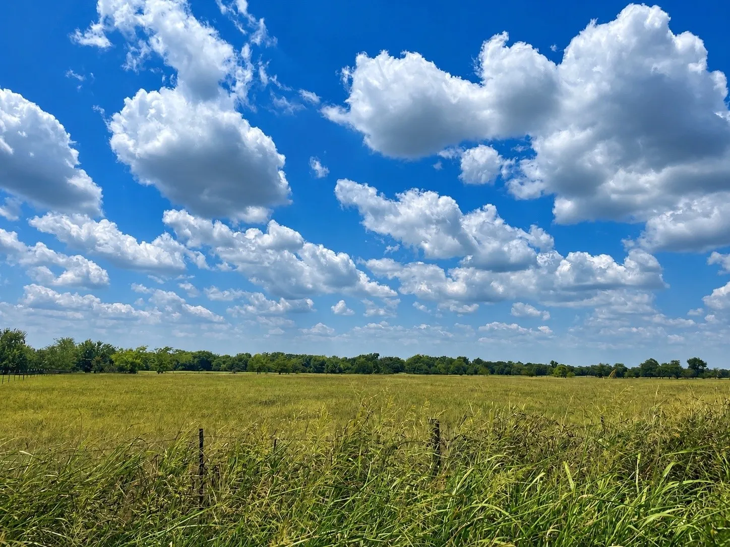 Unimproved Land For Sale in Hopkins County , TBD CR 3561, Sulphur Bluff, Texas 75481, 0, 0, Garage spaces, 0 Sqft, built in 0, Price $119,000, mls#21355179, Real Estate Agent in Sulphur Bluff, Homes For Sale in Hopkins county, Homes For Sale in Sulphur Bluff, Realtor in Sulphur Bluff Texas, Real Estate Brokerage Independent Realty Texas, Luminita Cordes Realtor