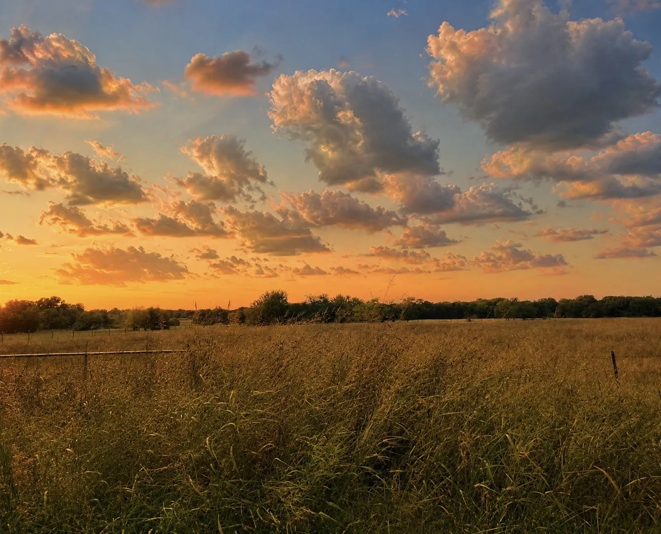 Unimproved Land For Sale in Hopkins County , TBD CR 3561, Sulphur Bluff, Texas 75481, 0, 0, Garage spaces, 0 Sqft, built in 0, Price $119,000, mls#21355179, Real Estate Agent in Sulphur Bluff, Homes For Sale in Hopkins county, Homes For Sale in Sulphur Bluff, Realtor in Sulphur Bluff Texas, Real Estate Brokerage Independent Realty Texas, Luminita Cordes Realtor