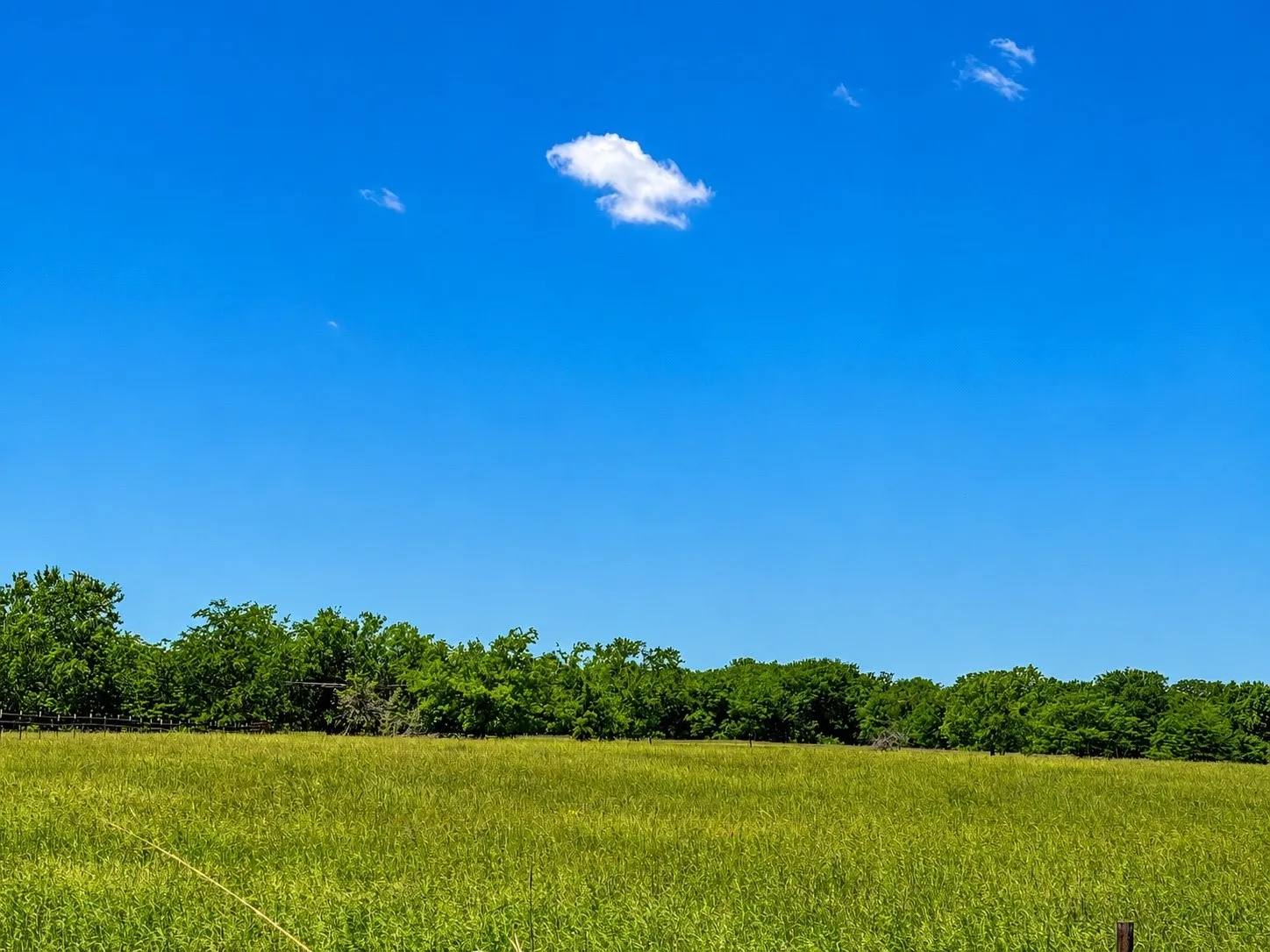 Unimproved Land For Sale in Hopkins County , TBD CR 3561, Sulphur Bluff, Texas 75481, 0, 0, Garage spaces, 0 Sqft, built in 0, Price $119,000, mls#21355179, Real Estate Agent in Sulphur Bluff, Homes For Sale in Hopkins county, Homes For Sale in Sulphur Bluff, Realtor in Sulphur Bluff Texas, Real Estate Brokerage Independent Realty Texas, Luminita Cordes Realtor