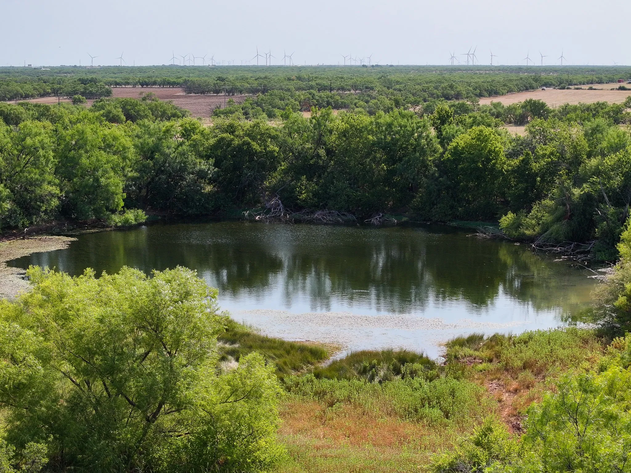 Unimproved Land For Sale in Taylor County , TBD 54.55 Ac Potosi Rd, Abilene, Texas 79602, 0, 0, Garage spaces, 0 Sqft, built in 0, Price $654,600, mls#21355199, Real Estate Agent in Abilene, Homes For Sale in Taylor county, Homes For Sale in Abilene, Realtor in Abilene Texas, Real Estate Brokerage Independent Realty Texas, Luminita Cordes Realtor