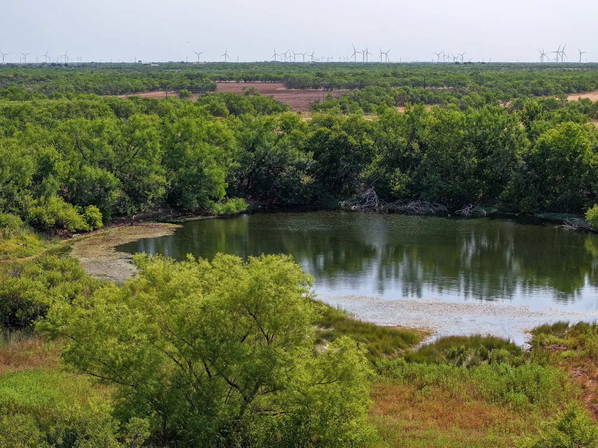 Unimproved Land For Sale in Taylor County , TBD 54.55 Ac Potosi Rd, Abilene, Texas 79602, 0, 0, Garage spaces, 0 Sqft, built in 0, Price $654,600, mls#21355199, Real Estate Agent in Abilene, Homes For Sale in Taylor county, Homes For Sale in Abilene, Realtor in Abilene Texas, Real Estate Brokerage Independent Realty Texas, Luminita Cordes Realtor