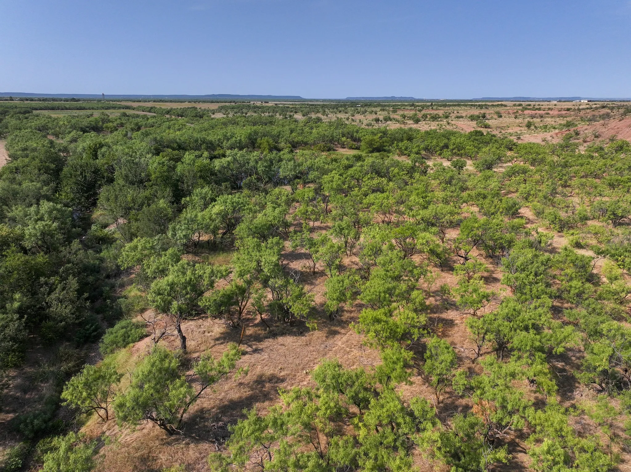 Unimproved Land For Sale in Taylor County , TBD 54.55 Ac Potosi Rd, Abilene, Texas 79602, 0, 0, Garage spaces, 0 Sqft, built in 0, Price $654,600, mls#21355199, Real Estate Agent in Abilene, Homes For Sale in Taylor county, Homes For Sale in Abilene, Realtor in Abilene Texas, Real Estate Brokerage Independent Realty Texas, Luminita Cordes Realtor