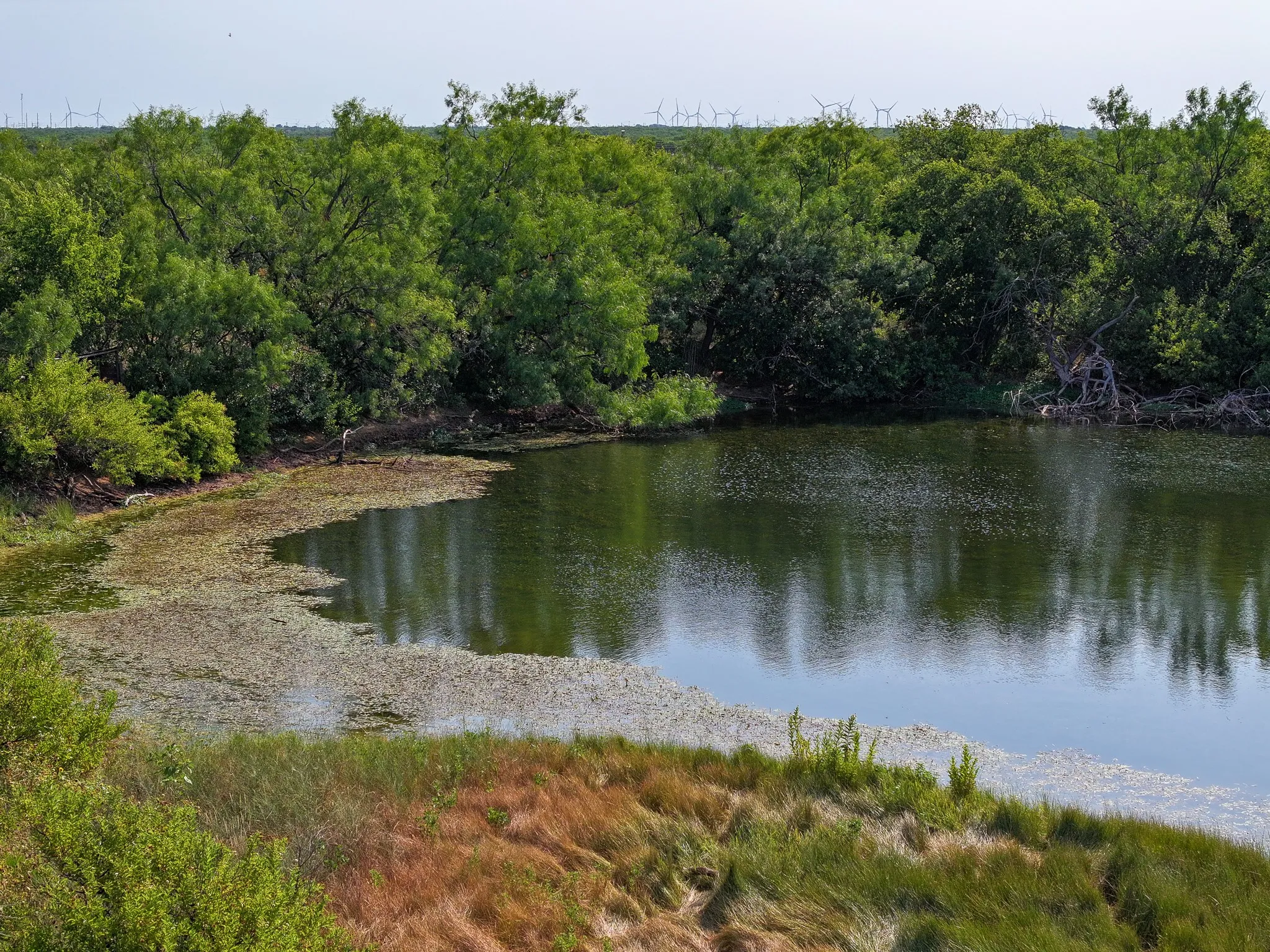 Unimproved Land For Sale in Taylor County , TBD 54.55 Ac Potosi Rd, Abilene, Texas 79602, 0, 0, Garage spaces, 0 Sqft, built in 0, Price $654,600, mls#21355199, Real Estate Agent in Abilene, Homes For Sale in Taylor county, Homes For Sale in Abilene, Realtor in Abilene Texas, Real Estate Brokerage Independent Realty Texas, Luminita Cordes Realtor