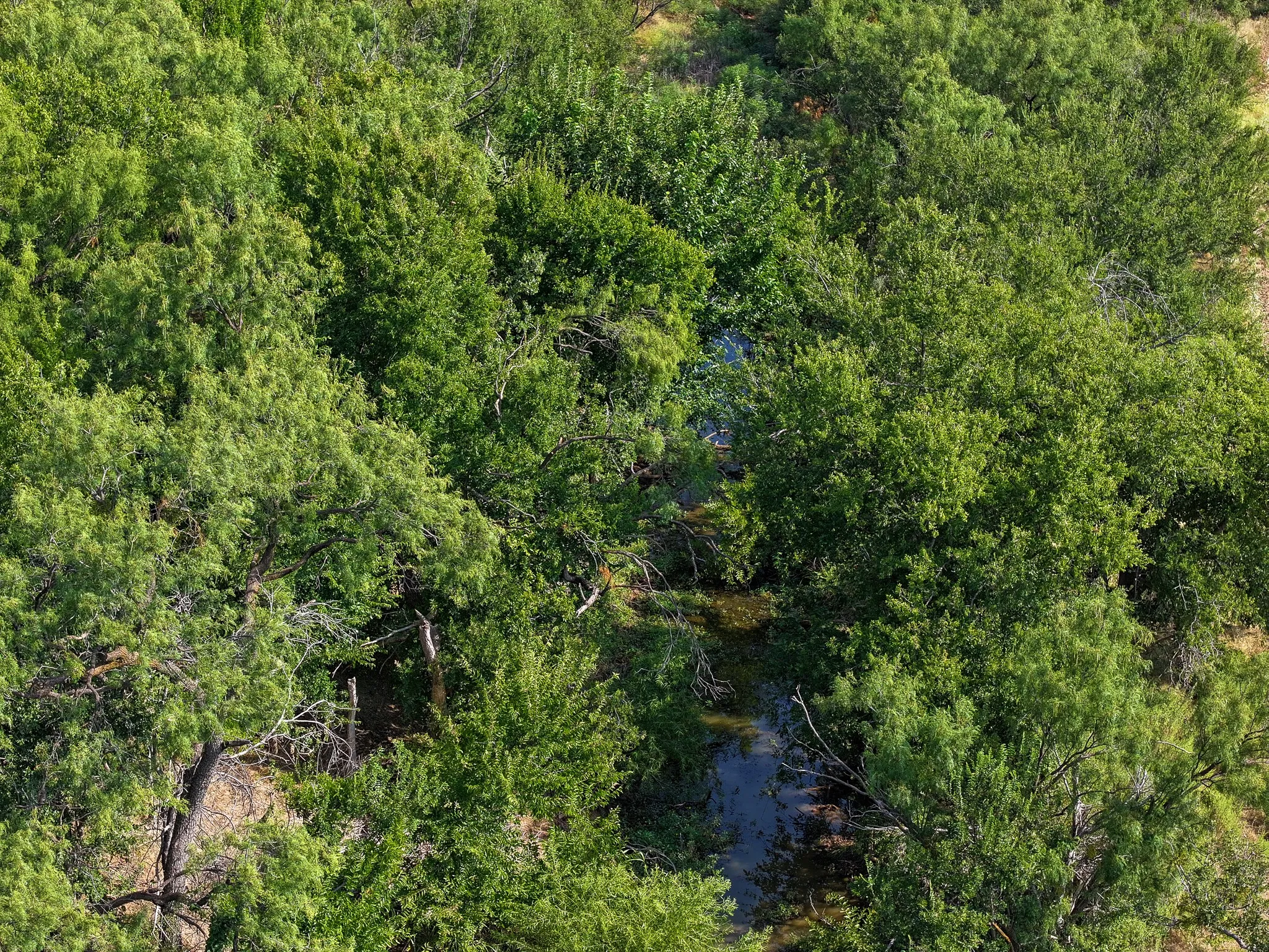 Unimproved Land For Sale in Taylor County , TBD 54.55 Ac Potosi Rd, Abilene, Texas 79602, 0, 0, Garage spaces, 0 Sqft, built in 0, Price $654,600, mls#21355199, Real Estate Agent in Abilene, Homes For Sale in Taylor county, Homes For Sale in Abilene, Realtor in Abilene Texas, Real Estate Brokerage Independent Realty Texas, Luminita Cordes Realtor