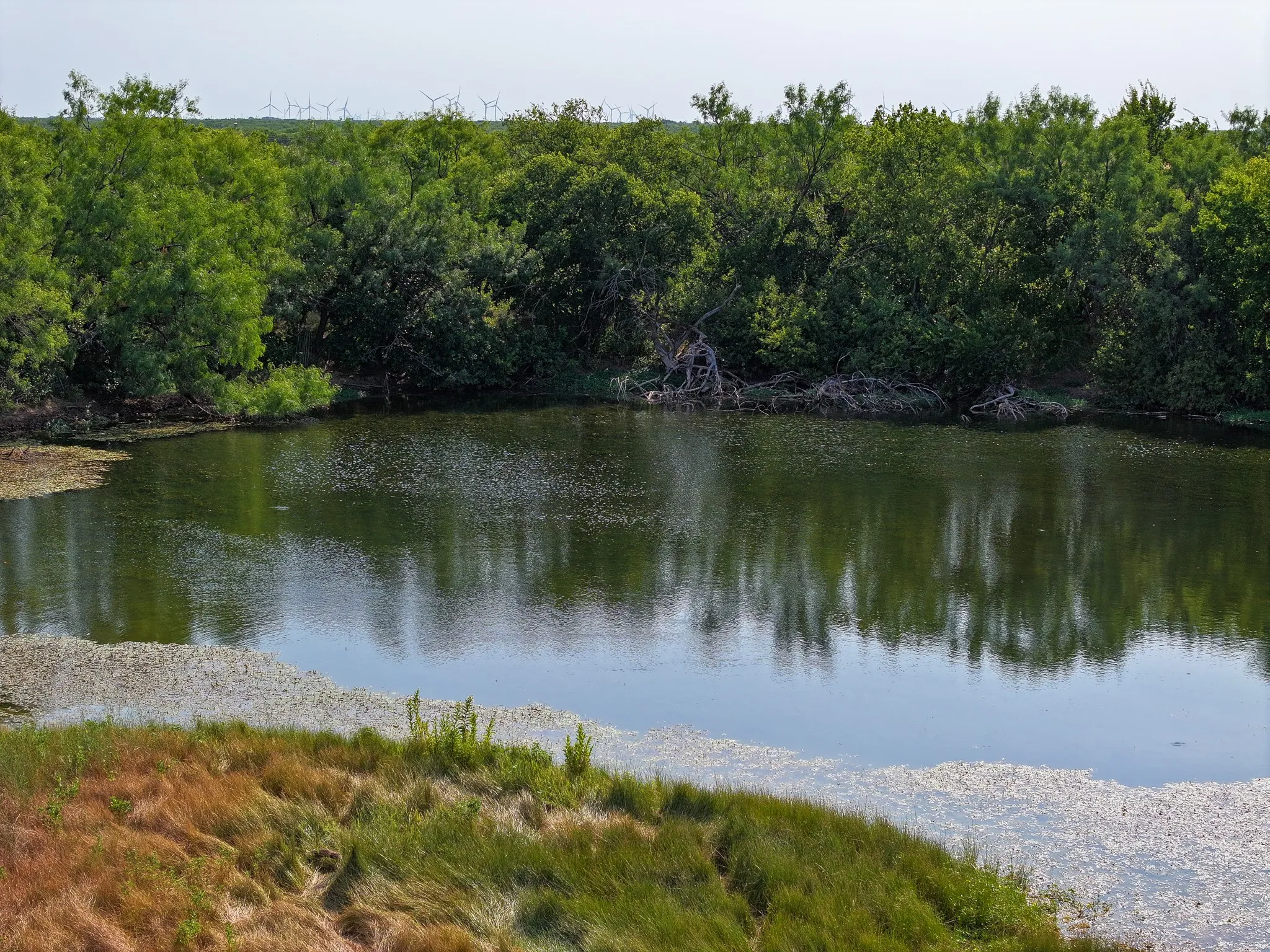 Unimproved Land For Sale in Taylor County , TBD 54.55 Ac Potosi Rd, Abilene, Texas 79602, 0, 0, Garage spaces, 0 Sqft, built in 0, Price $654,600, mls#21355199, Real Estate Agent in Abilene, Homes For Sale in Taylor county, Homes For Sale in Abilene, Realtor in Abilene Texas, Real Estate Brokerage Independent Realty Texas, Luminita Cordes Realtor