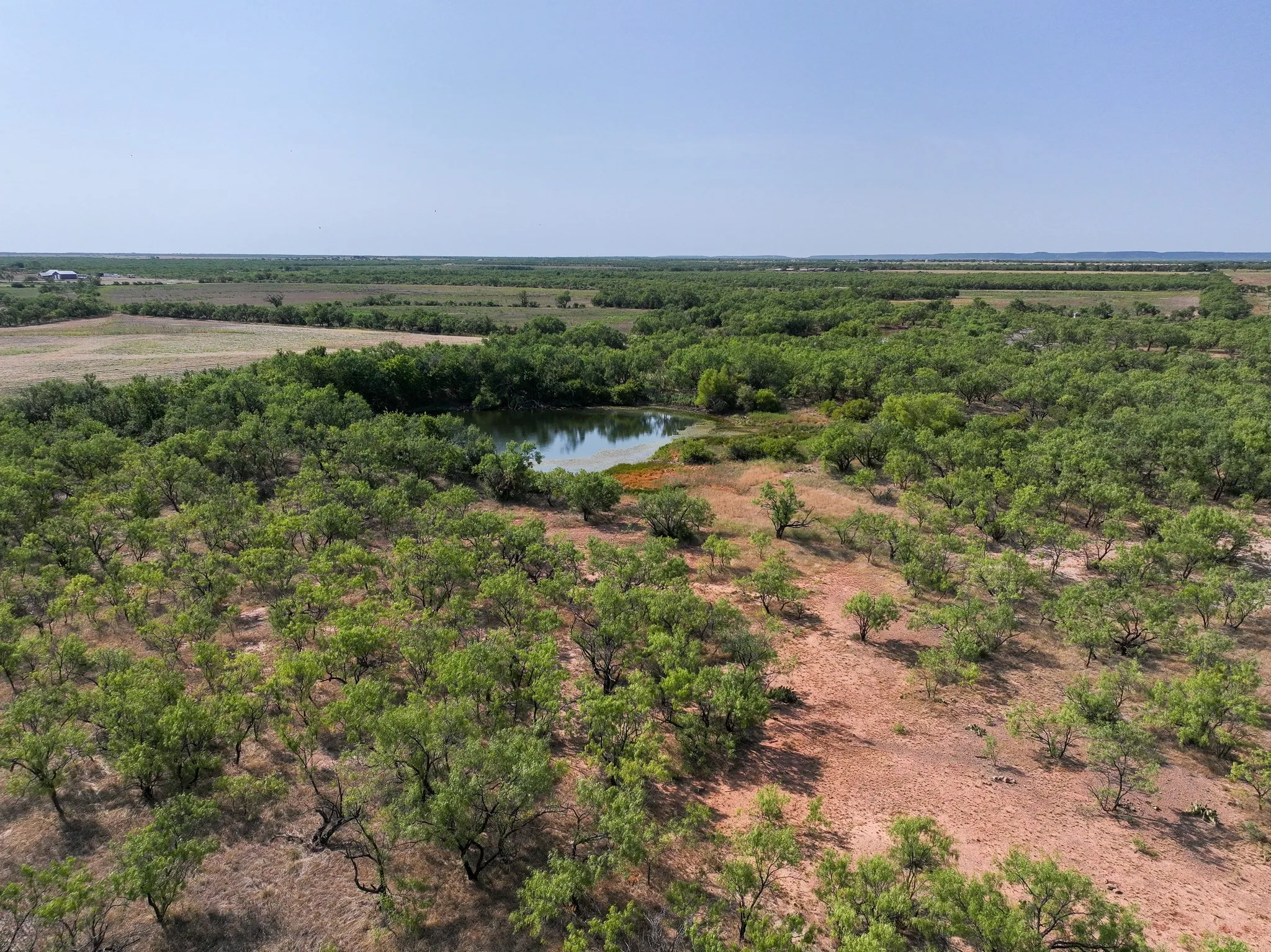 Unimproved Land For Sale in Taylor County , TBD 54.55 Ac Potosi Rd, Abilene, Texas 79602, 0, 0, Garage spaces, 0 Sqft, built in 0, Price $654,600, mls#21355199, Real Estate Agent in Abilene, Homes For Sale in Taylor county, Homes For Sale in Abilene, Realtor in Abilene Texas, Real Estate Brokerage Independent Realty Texas, Luminita Cordes Realtor