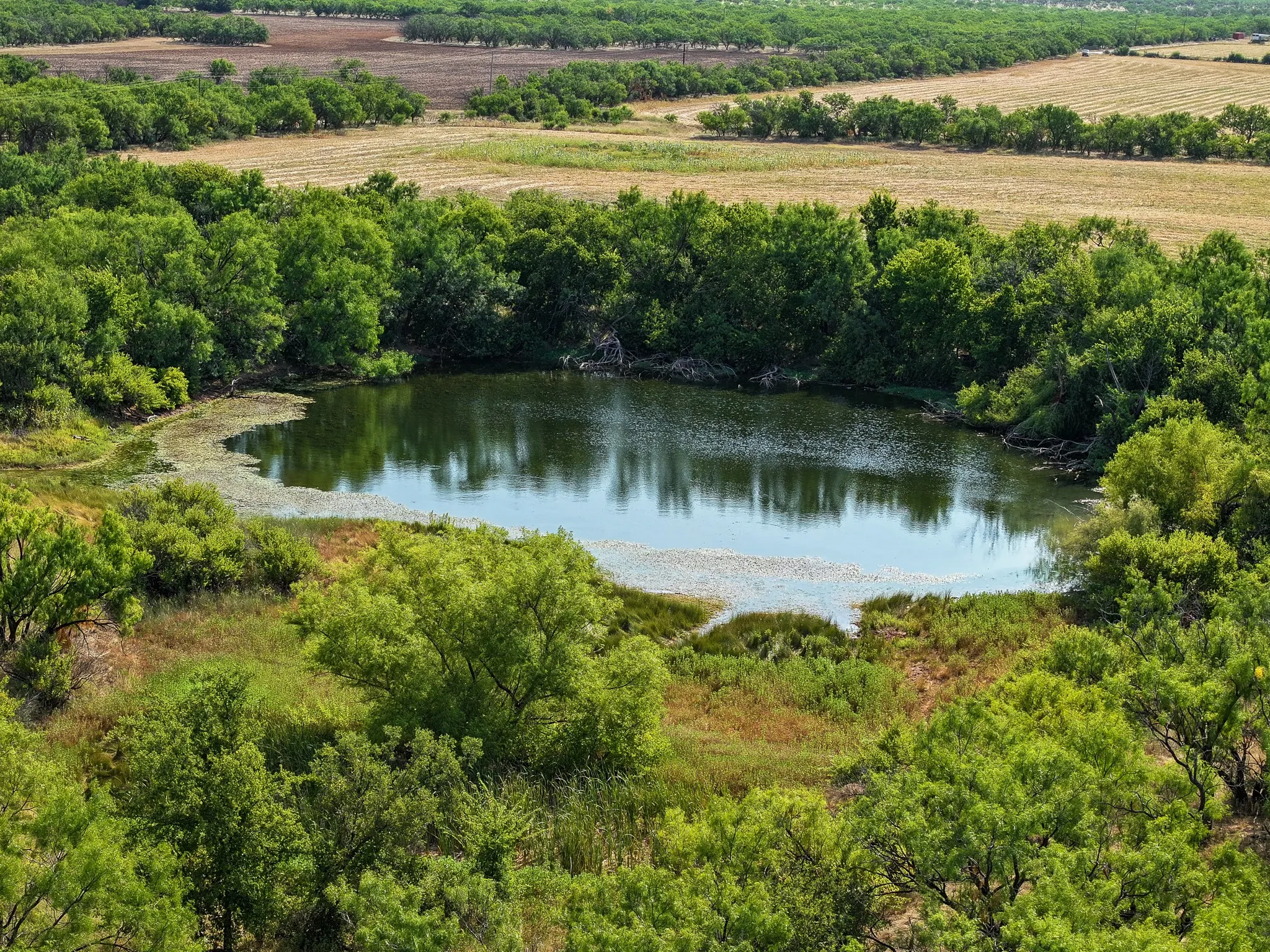 Unimproved Land For Sale in Taylor County , TBD 54.55 Ac Potosi Rd, Abilene, Texas 79602, 0, 0, Garage spaces, 0 Sqft, built in 0, Price $654,600, mls#21355199, Real Estate Agent in Abilene, Homes For Sale in Taylor county, Homes For Sale in Abilene, Realtor in Abilene Texas, Real Estate Brokerage Independent Realty Texas, Luminita Cordes Realtor