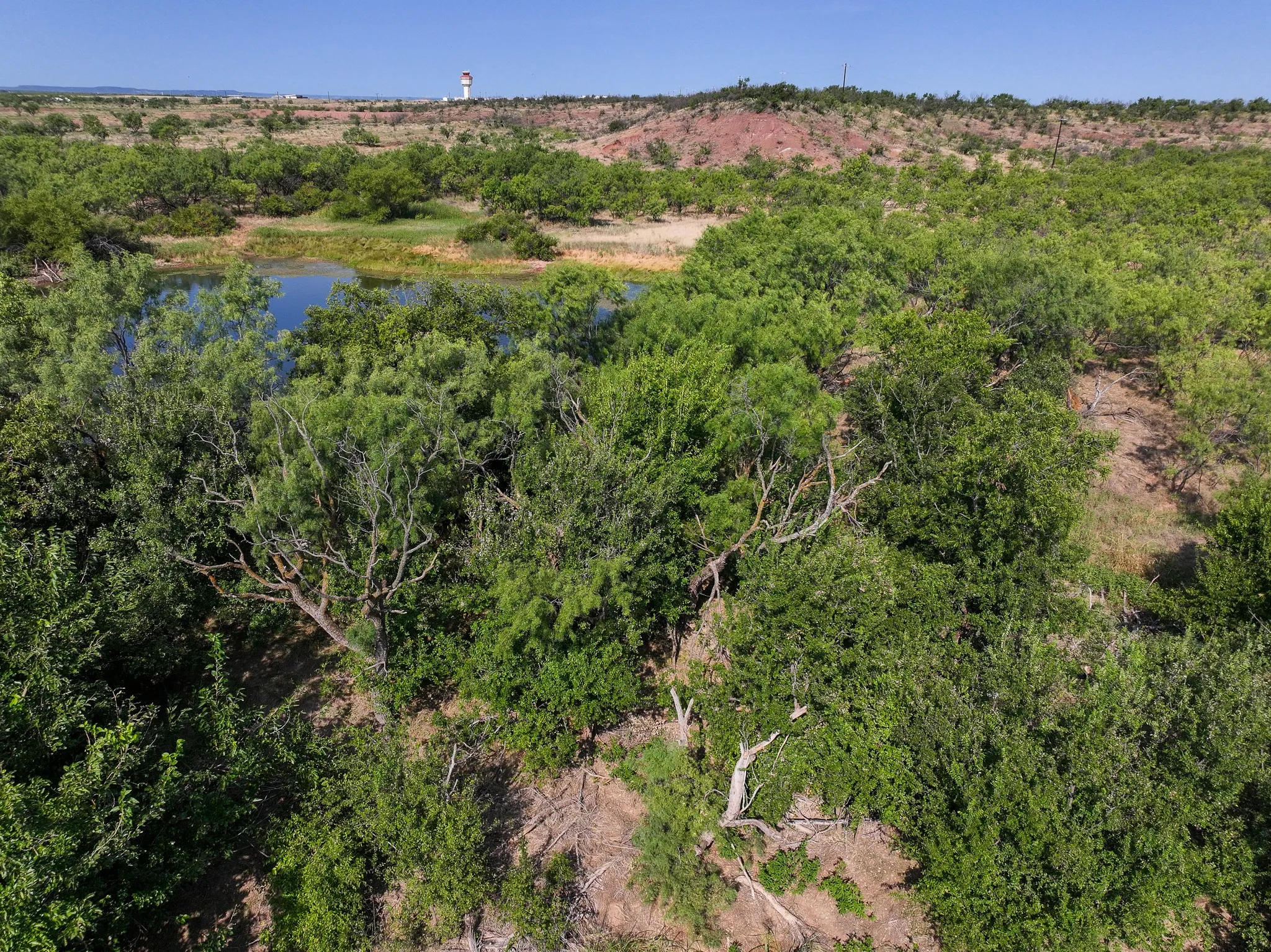 Unimproved Land For Sale in Taylor County , TBD 54.55 Ac Potosi Rd, Abilene, Texas 79602, 0, 0, Garage spaces, 0 Sqft, built in 0, Price $654,600, mls#21355199, Real Estate Agent in Abilene, Homes For Sale in Taylor county, Homes For Sale in Abilene, Realtor in Abilene Texas, Real Estate Brokerage Independent Realty Texas, Luminita Cordes Realtor
