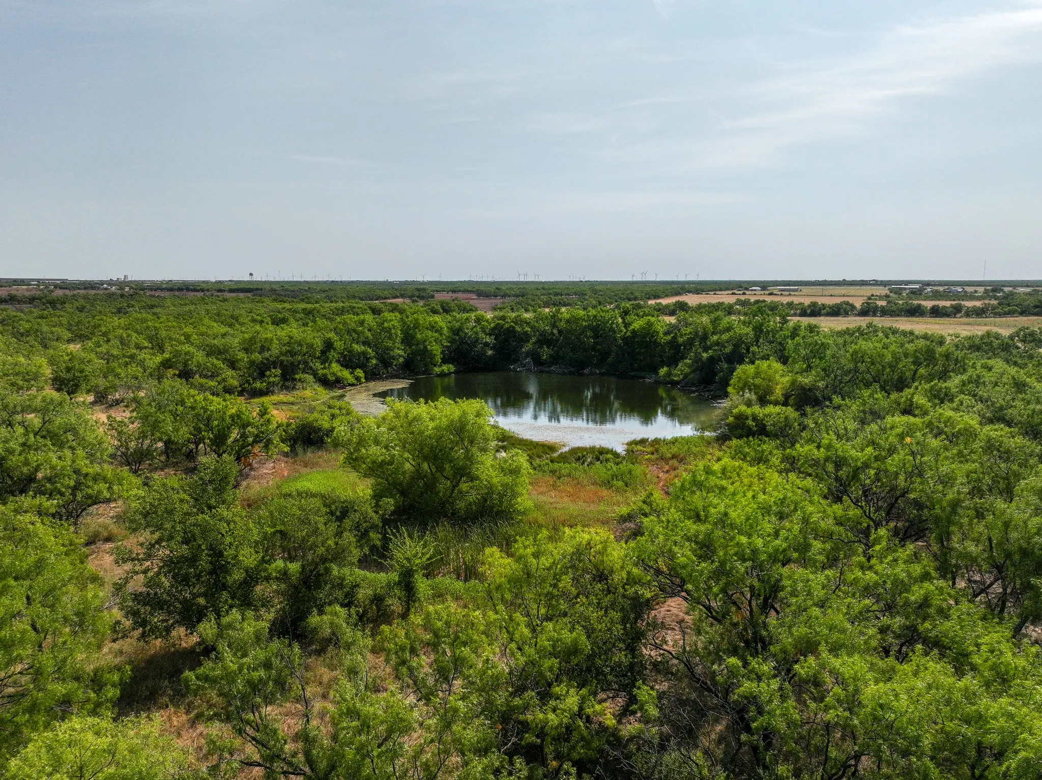Unimproved Land For Sale in Taylor County , TBD 54.55 Ac Potosi Rd, Abilene, Texas 79602, 0, 0, Garage spaces, 0 Sqft, built in 0, Price $654,600, mls#21355199, Real Estate Agent in Abilene, Homes For Sale in Taylor county, Homes For Sale in Abilene, Realtor in Abilene Texas, Real Estate Brokerage Independent Realty Texas, Luminita Cordes Realtor