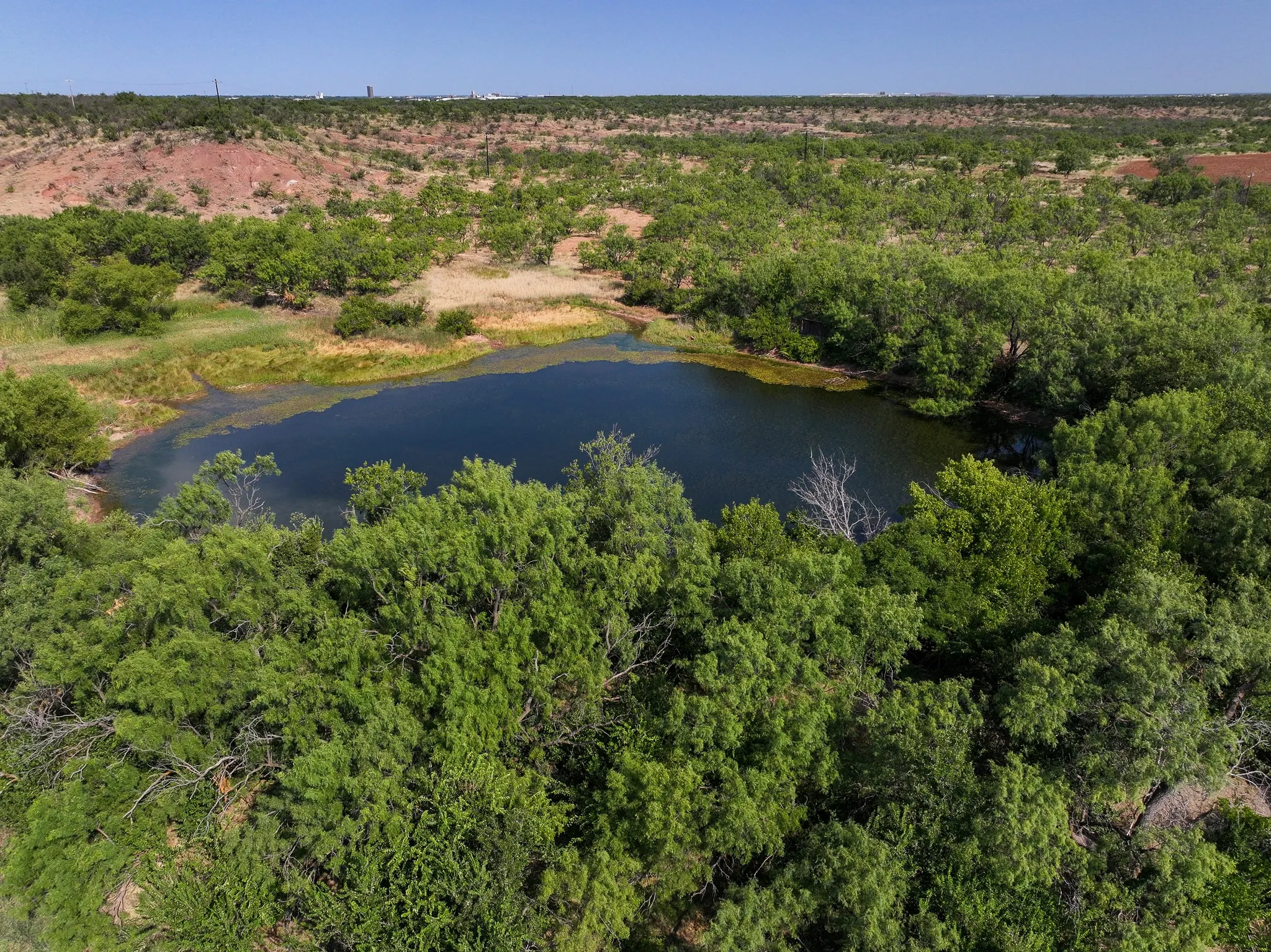 Unimproved Land For Sale in Taylor County , TBD 54.55 Ac Potosi Rd, Abilene, Texas 79602, 0, 0, Garage spaces, 0 Sqft, built in 0, Price $654,600, mls#21355199, Real Estate Agent in Abilene, Homes For Sale in Taylor county, Homes For Sale in Abilene, Realtor in Abilene Texas, Real Estate Brokerage Independent Realty Texas, Luminita Cordes Realtor