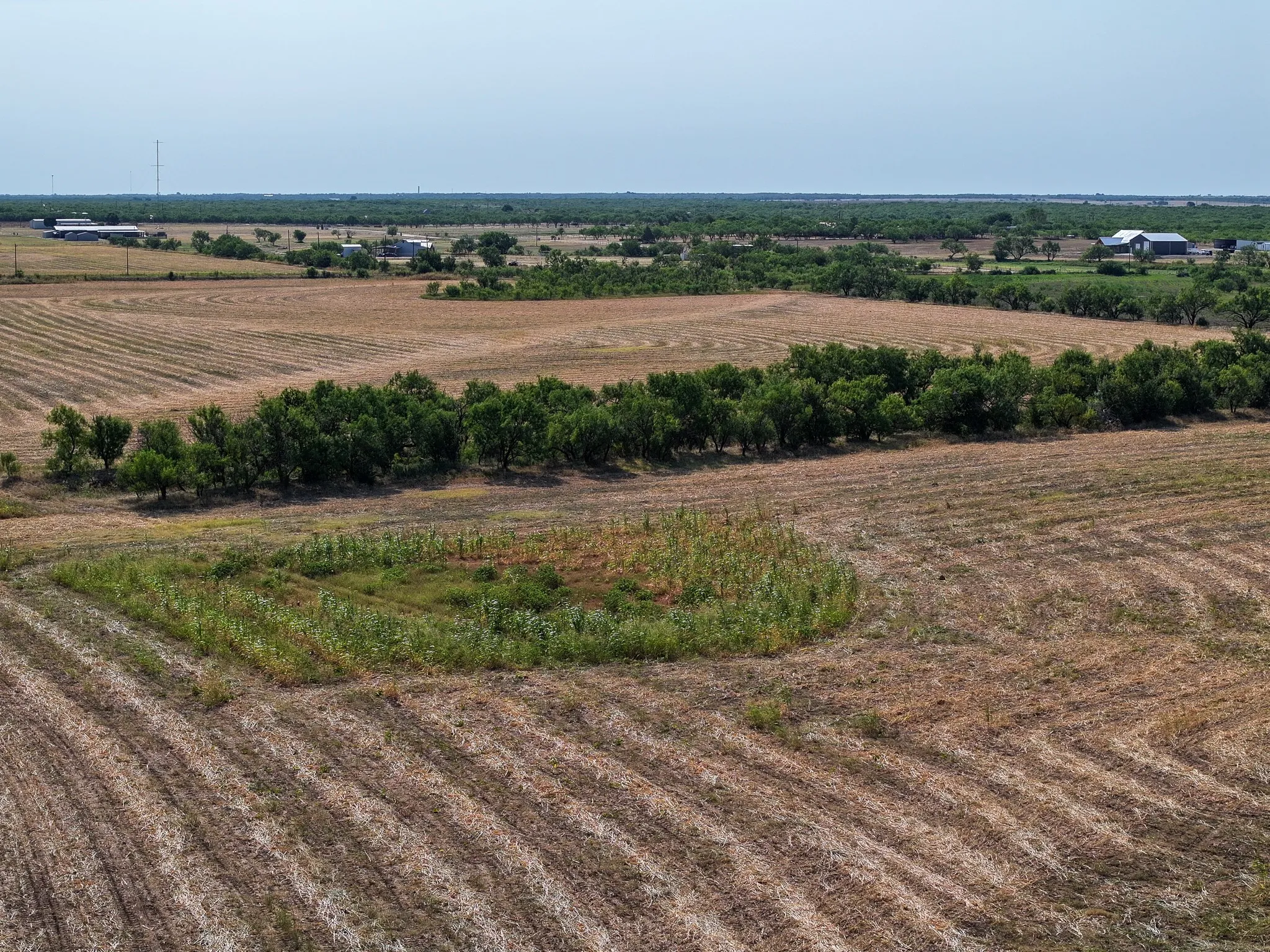 Unimproved Land For Sale in Taylor County , TBD 54.55 Ac Potosi Rd, Abilene, Texas 79602, 0, 0, Garage spaces, 0 Sqft, built in 0, Price $654,600, mls#21355199, Real Estate Agent in Abilene, Homes For Sale in Taylor county, Homes For Sale in Abilene, Realtor in Abilene Texas, Real Estate Brokerage Independent Realty Texas, Luminita Cordes Realtor