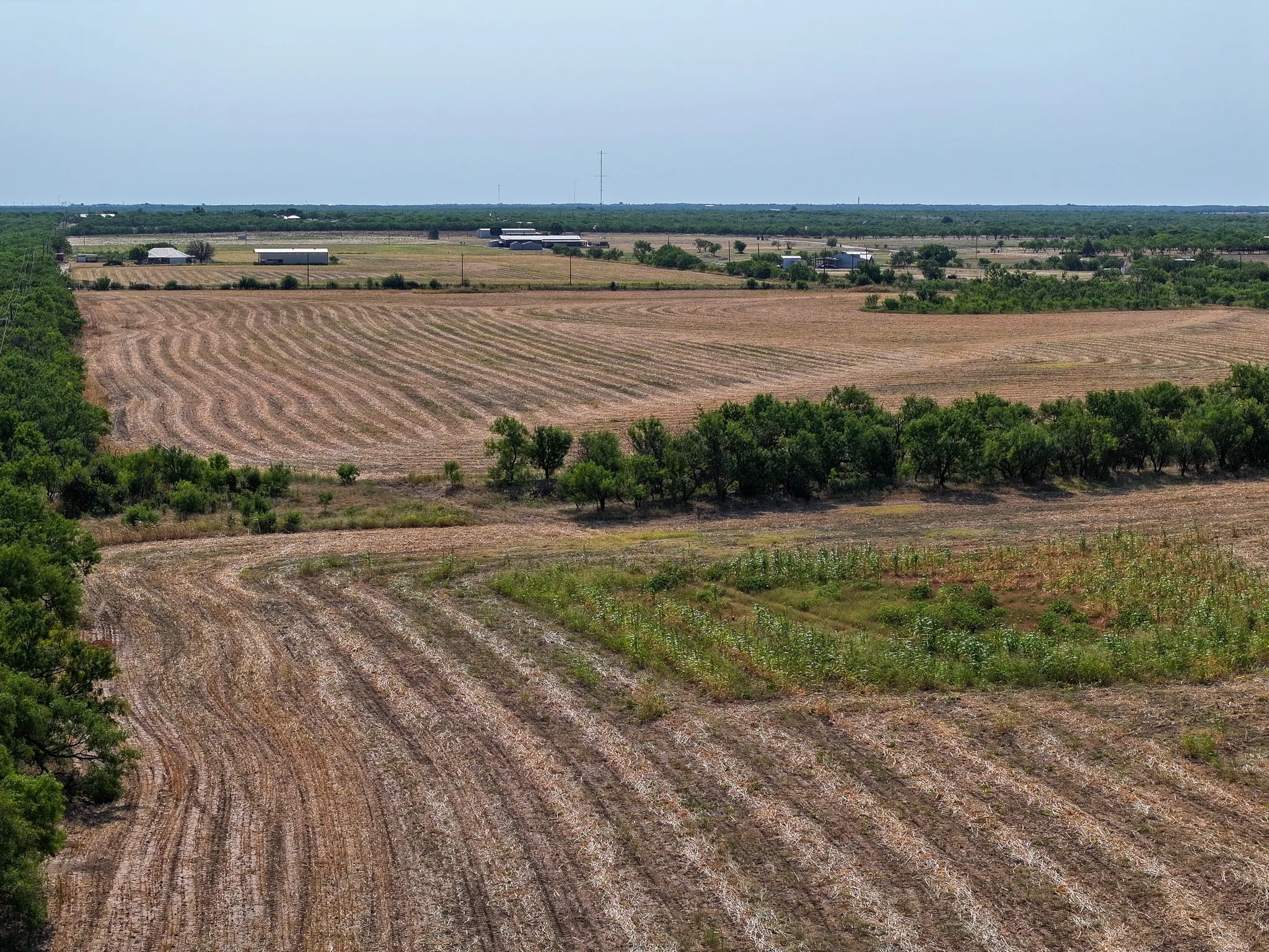 Unimproved Land For Sale in Taylor County , TBD 54.55 Ac Potosi Rd, Abilene, Texas 79602, 0, 0, Garage spaces, 0 Sqft, built in 0, Price $654,600, mls#21355199, Real Estate Agent in Abilene, Homes For Sale in Taylor county, Homes For Sale in Abilene, Realtor in Abilene Texas, Real Estate Brokerage Independent Realty Texas, Luminita Cordes Realtor