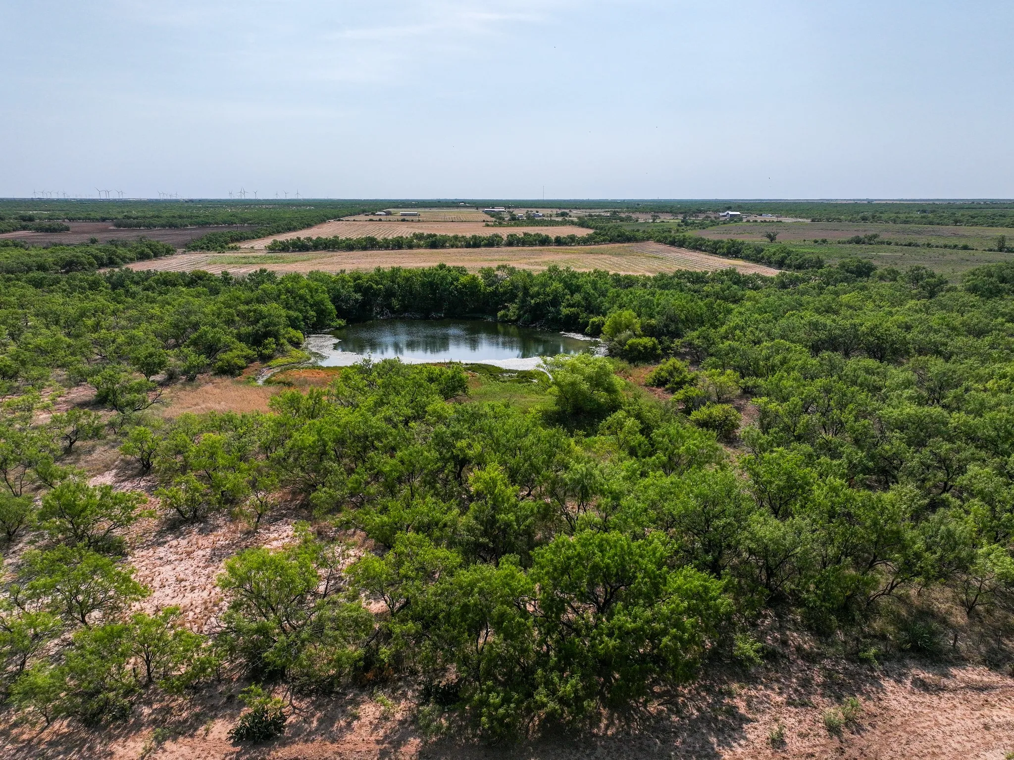 Unimproved Land For Sale in Taylor County , TBD 54.55 Ac Potosi Rd, Abilene, Texas 79602, 0, 0, Garage spaces, 0 Sqft, built in 0, Price $654,600, mls#21355199, Real Estate Agent in Abilene, Homes For Sale in Taylor county, Homes For Sale in Abilene, Realtor in Abilene Texas, Real Estate Brokerage Independent Realty Texas, Luminita Cordes Realtor