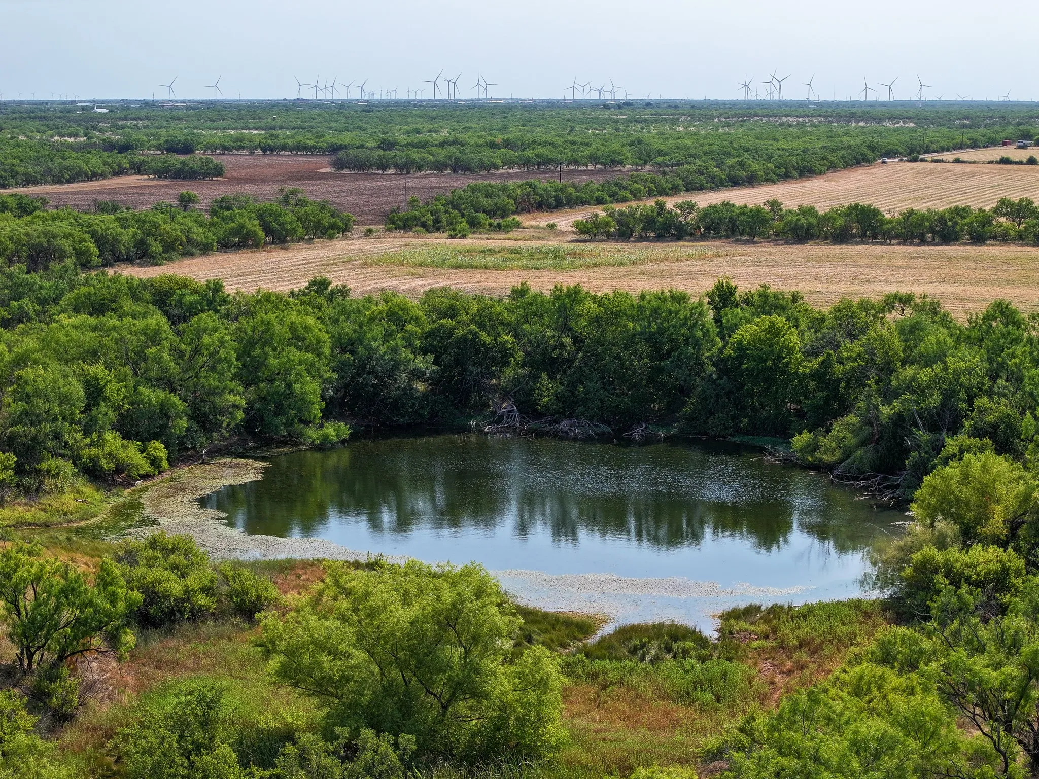 Unimproved Land For Sale in Taylor County , TBD 54.55 Ac Potosi Rd, Abilene, Texas 79602, 0, 0, Garage spaces, 0 Sqft, built in 0, Price $654,600, mls#21355199, Real Estate Agent in Abilene, Homes For Sale in Taylor county, Homes For Sale in Abilene, Realtor in Abilene Texas, Real Estate Brokerage Independent Realty Texas, Luminita Cordes Realtor