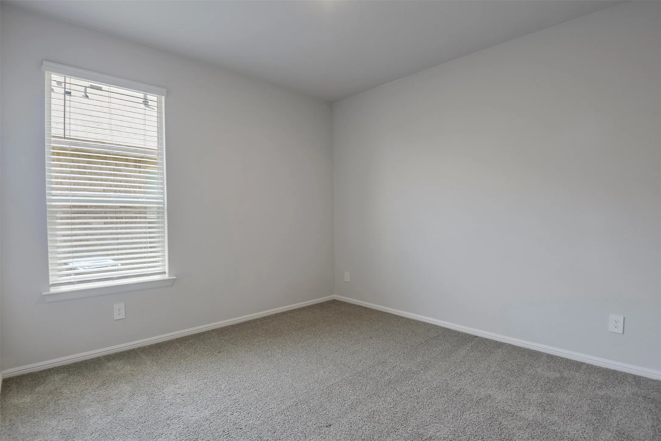 Neutral wall paint, carpeted flooring, and a single window with blinds