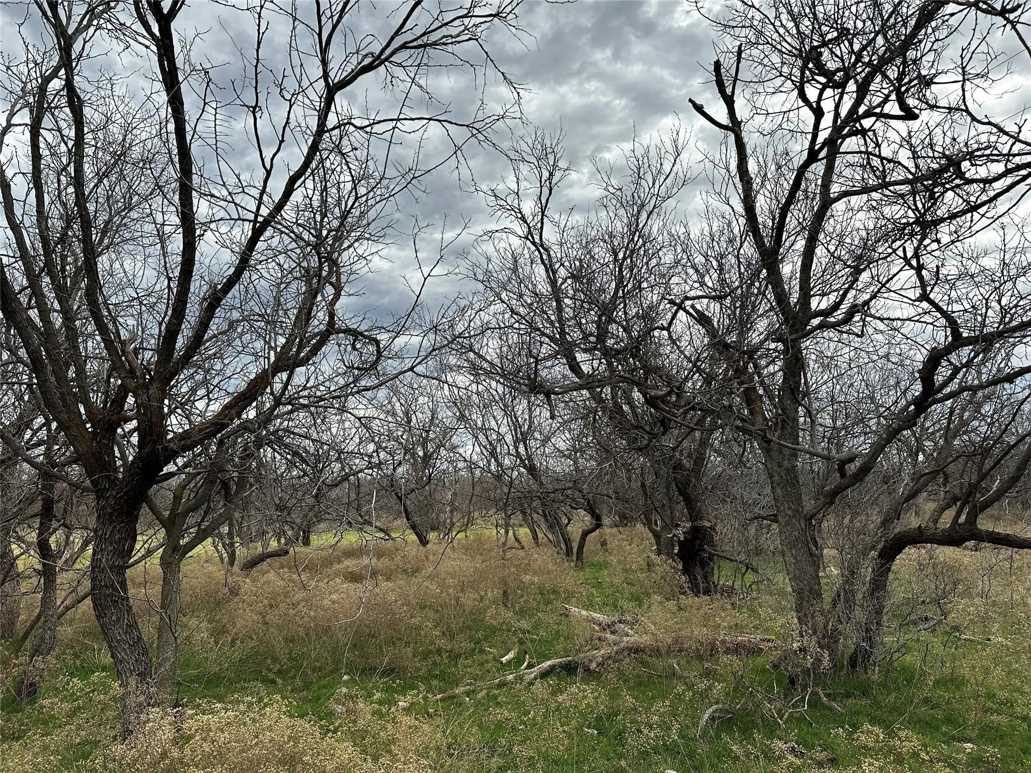 Ranch For Sale in Callahan County , Tract 14 AC CR 105, Abilene, Texas 79601, 0, 0, Garage spaces, 0 Sqft, built in 0, Price $116,130, mls#21355204, Real Estate Agent in Abilene, Homes For Sale in Callahan county, Homes For Sale in Abilene, Realtor in Abilene Texas, Real Estate Brokerage Independent Realty Texas, Luminita Cordes Realtor