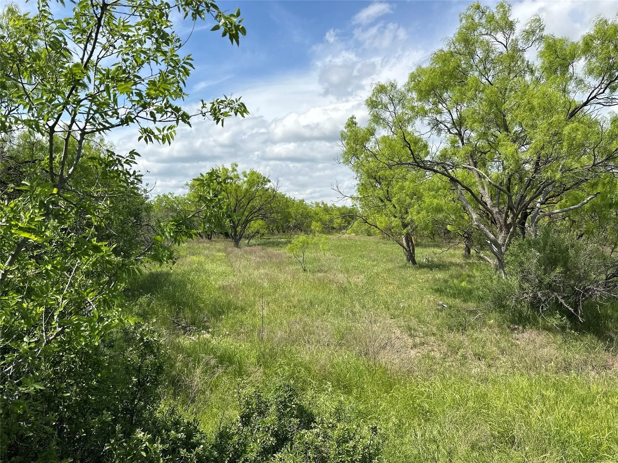 Ranch For Sale in Callahan County , Tract 14 AC CR 105, Abilene, Texas 79601, 0, 0, Garage spaces, 0 Sqft, built in 0, Price $116,130, mls#21355204, Real Estate Agent in Abilene, Homes For Sale in Callahan county, Homes For Sale in Abilene, Realtor in Abilene Texas, Real Estate Brokerage Independent Realty Texas, Luminita Cordes Realtor